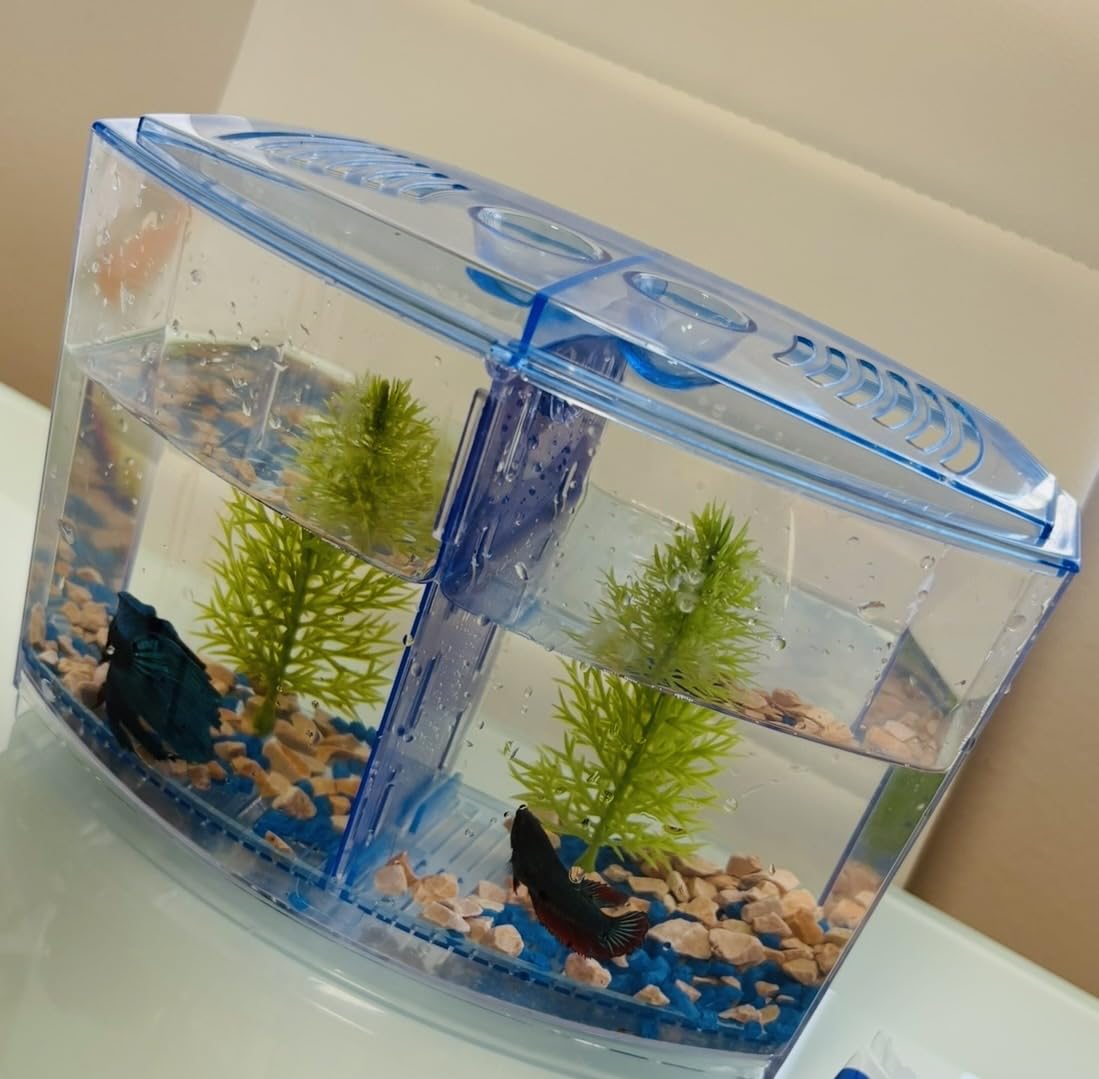 PENN-PLAX NuWave Betta Fish Tank Kit with LED Light and Internal Filter, 1.5 Gallon customer photo 1