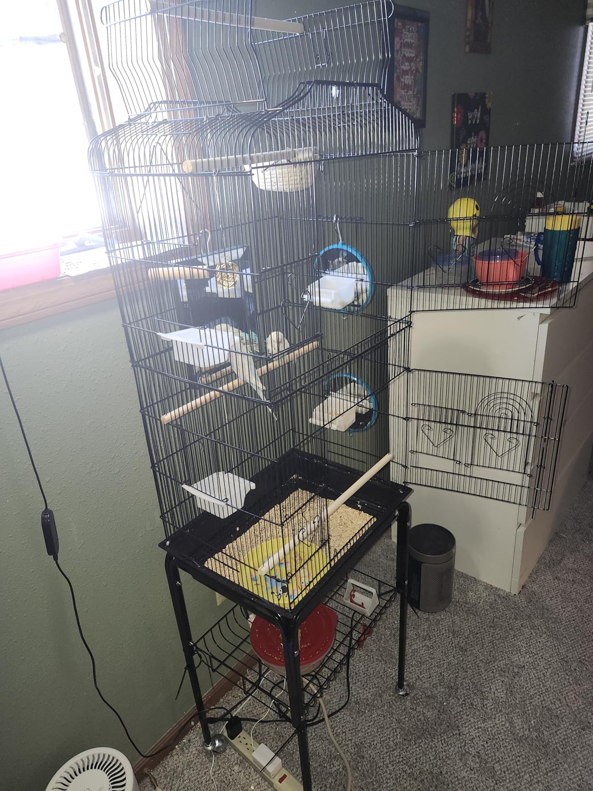 Yaheetech 64-inch Play Open Top Medium Small Bird Cage with Detachable Rolling Stand for Parrot Lovebirds Finches Canaries Parakeets Cockatiels Budgie Parrotlet Conures customer photo 1