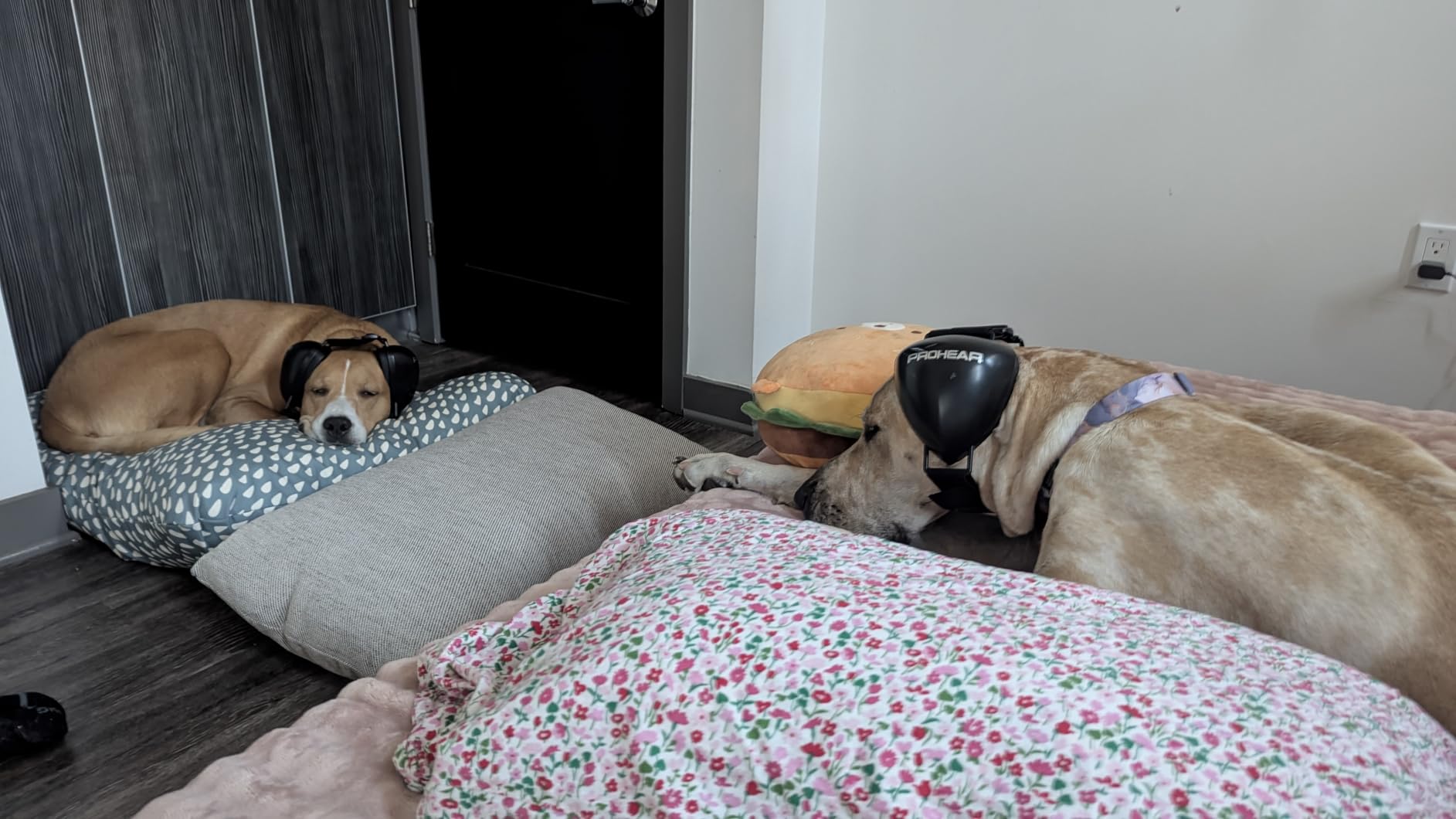 SNOOZ Smart White Noise Sound Machine customer photo 2