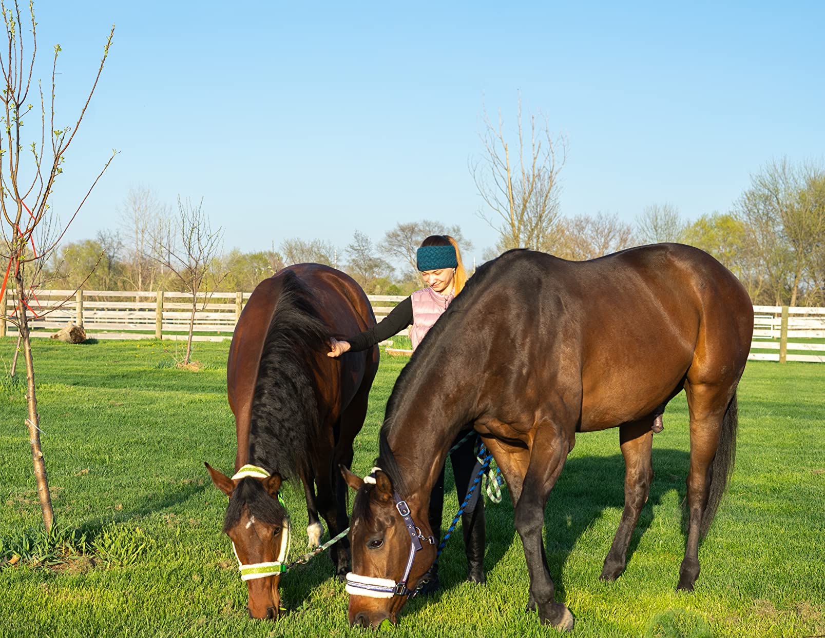 UltraCruz Equine Glucosamine Sulfate Joint Supplement for Horses, 4 lb, Pellet (32 Day Supply) customer photo 1