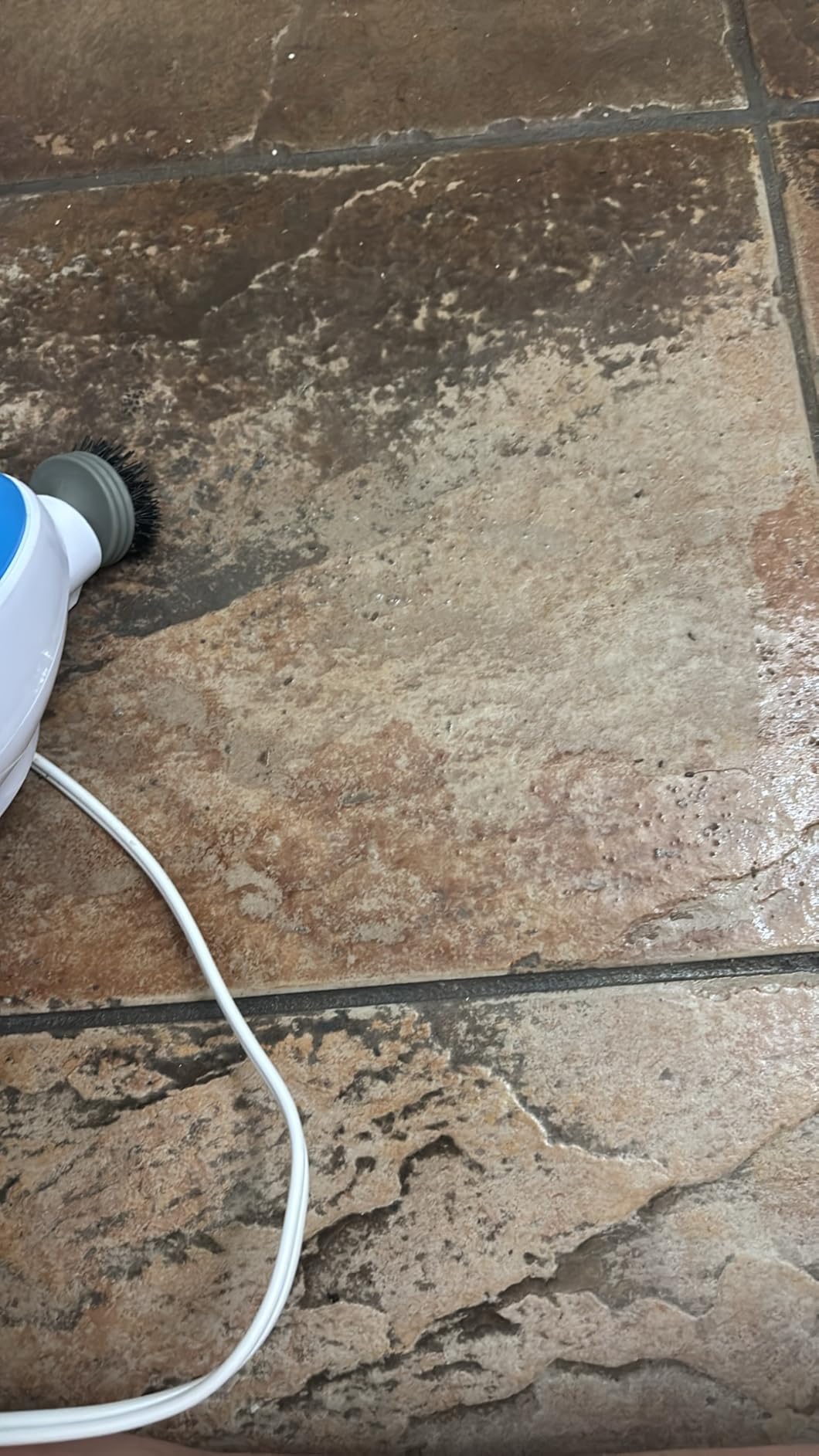PurSteam 10-in-1 Steam Mop, Floor Steamer with Detachable Handheld Steam Cleaner for Tile, Hardwood Floors customer photo 1