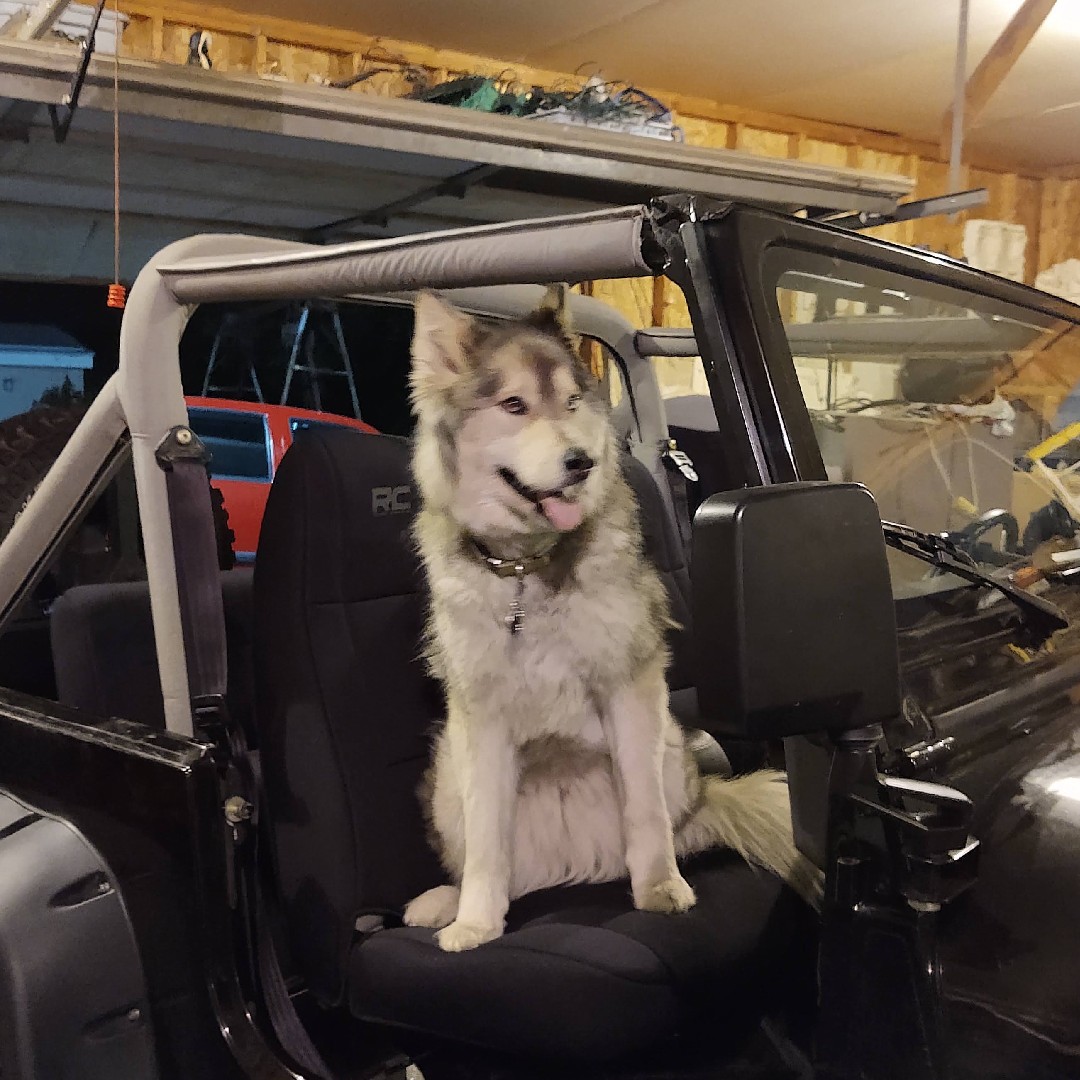 Rough Country Neoprene Seat Covers for Jeep Wrangler YJ (1987-1990) - Waterproof & UV Resistant, Foam Padded, Front & Rear Seat Cover Set customer photo 2