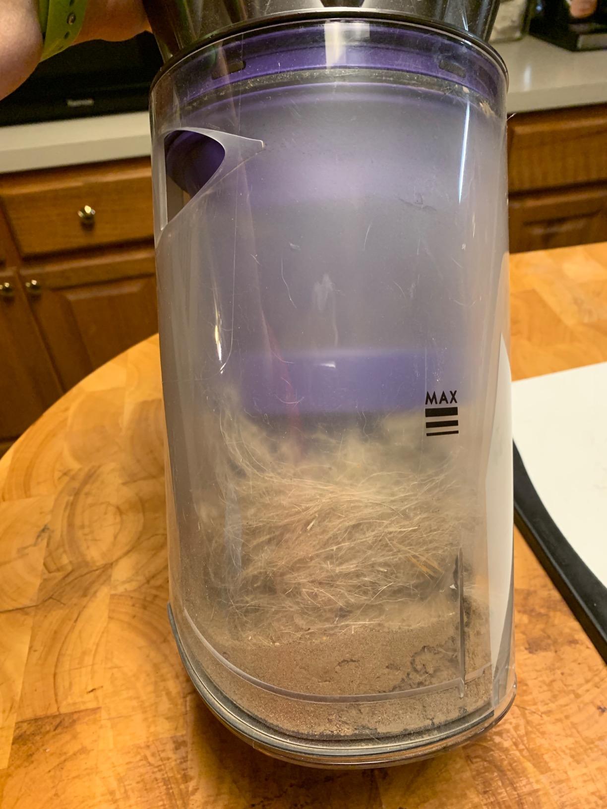 Dyson Ball Animal 2 Upright Vacuum, Iron/Purple (Renewed) customer photo 1