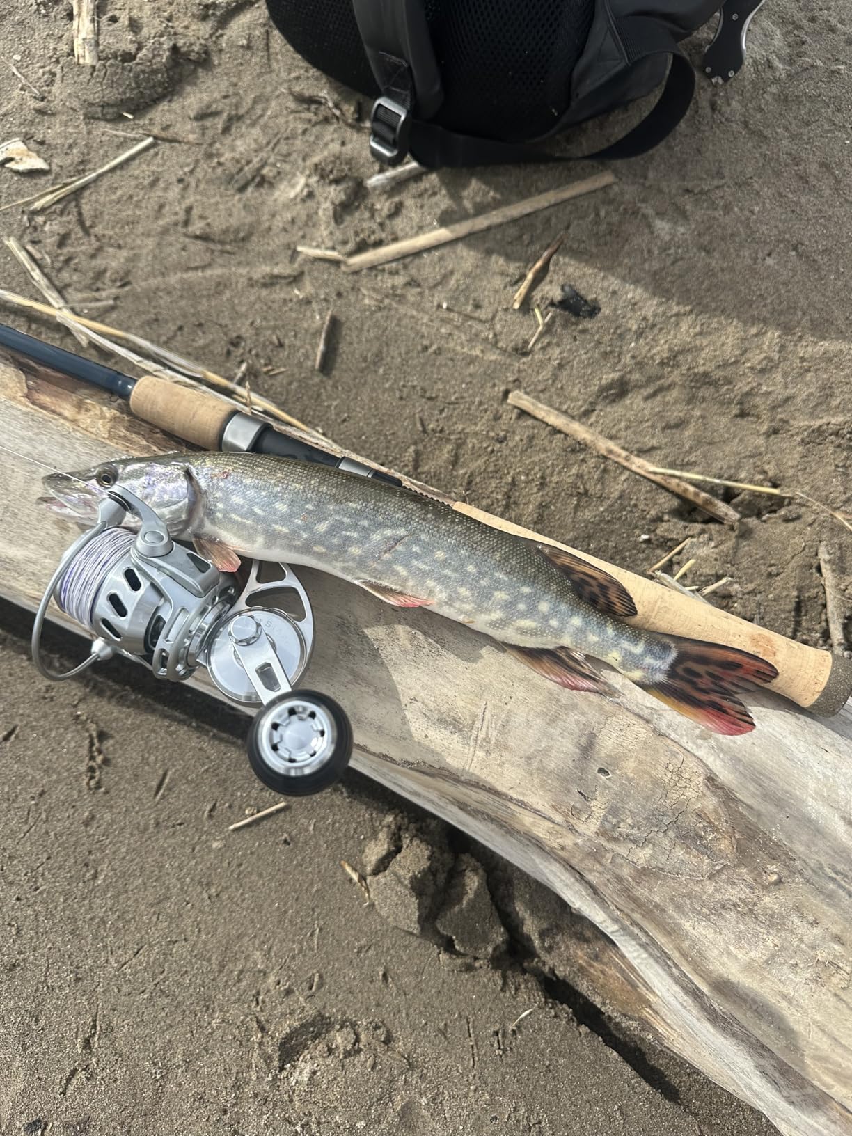 Van Staal Series Spinning Reels VR customer photo 2