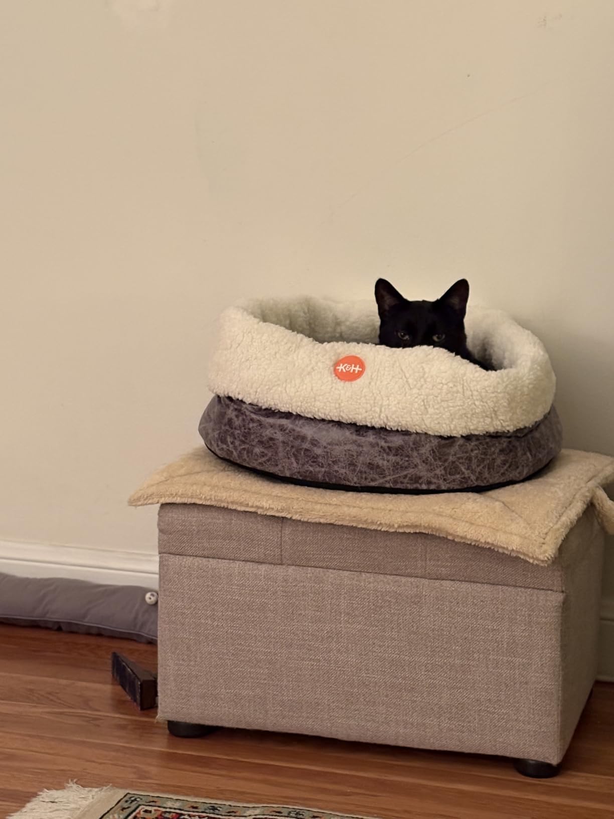 K&H Pet Products Heated Cat Bed Indoor, Thermo-Snuggle Cup Bomber Soft Heated Pet Bed for Large Indoor Cats and Small Dogs, Machine Washable, Waterproof Heated Pad, Safety Listed - 18 X 14in Gray customer photo 2