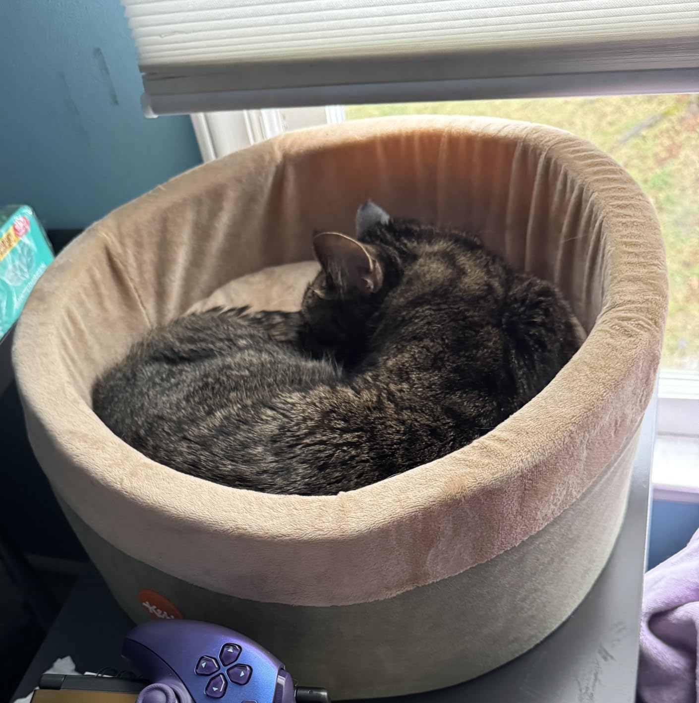 K&H Pet Products Thermo-Kitty Bed Heated Cat Beds for Large Indoor Cats & Dogs, Calming Warming Pillow Pet Bed, Machine Washable, Removable Heater, Safety Listed - Large 20