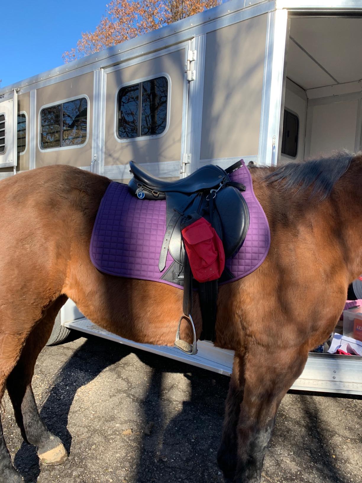 WeatherBeeta Prime All Purpose Saddle Pad customer photo 1