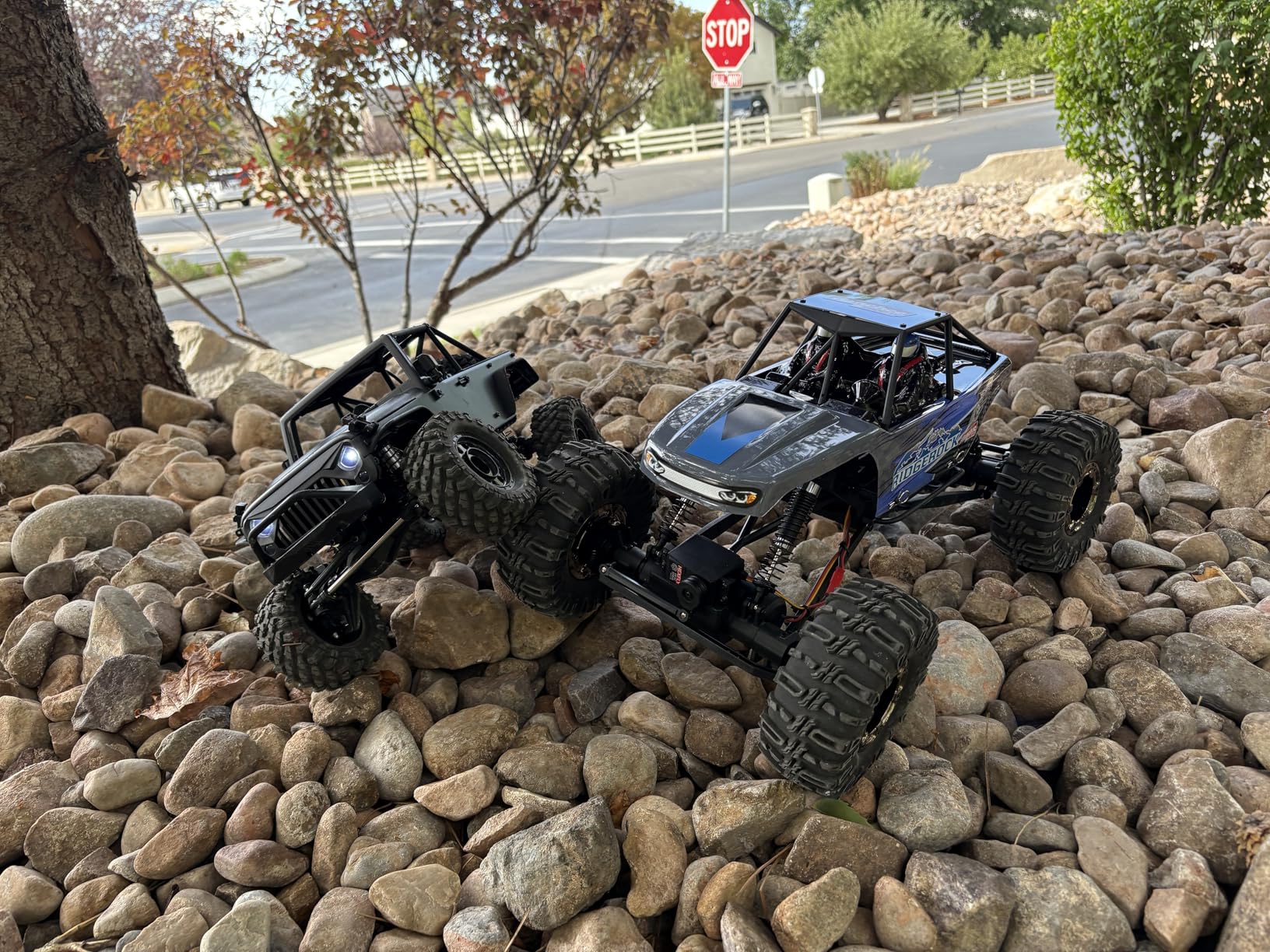 Redcat Racing Danchee Ridgerock 1/10 Scale 4WD Electric RC Rock Crawler customer photo 2