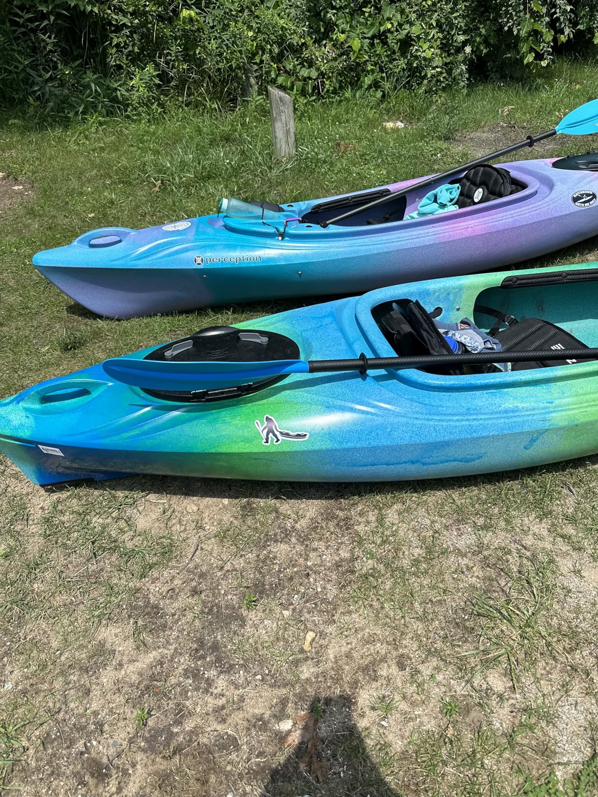 Perception Joyride 10 - Sit Inside Kayak for Adults and Kids - Recreational and Multi-Water Kayak with Selfie Slot - 10' customer photo 2