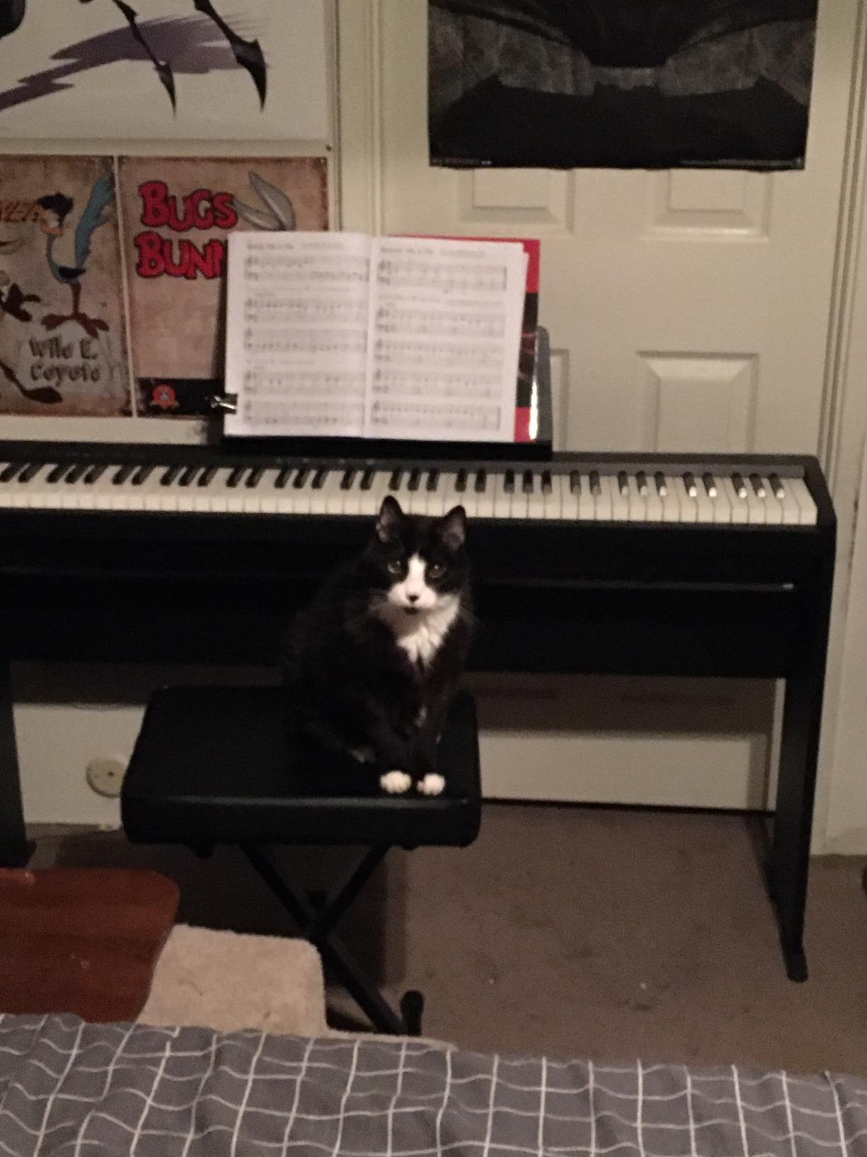 Roland FP-10 Compact 88-Note Digital Piano with SuperNATURAL Piano Tones and Bluetooth Connectivity customer photo 2