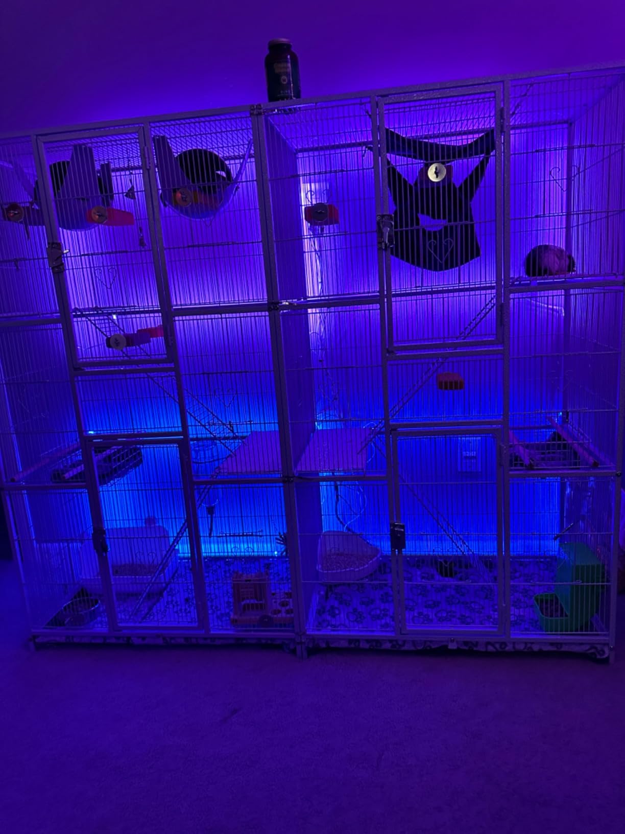 Yaheetech 69-Inch Extra Large Wrought Iron 3 Levels Ferret Chinchilla Sugar Glider Squirrel Small Animal Cage with Cross Shelves and Ladders, Black customer photo 2