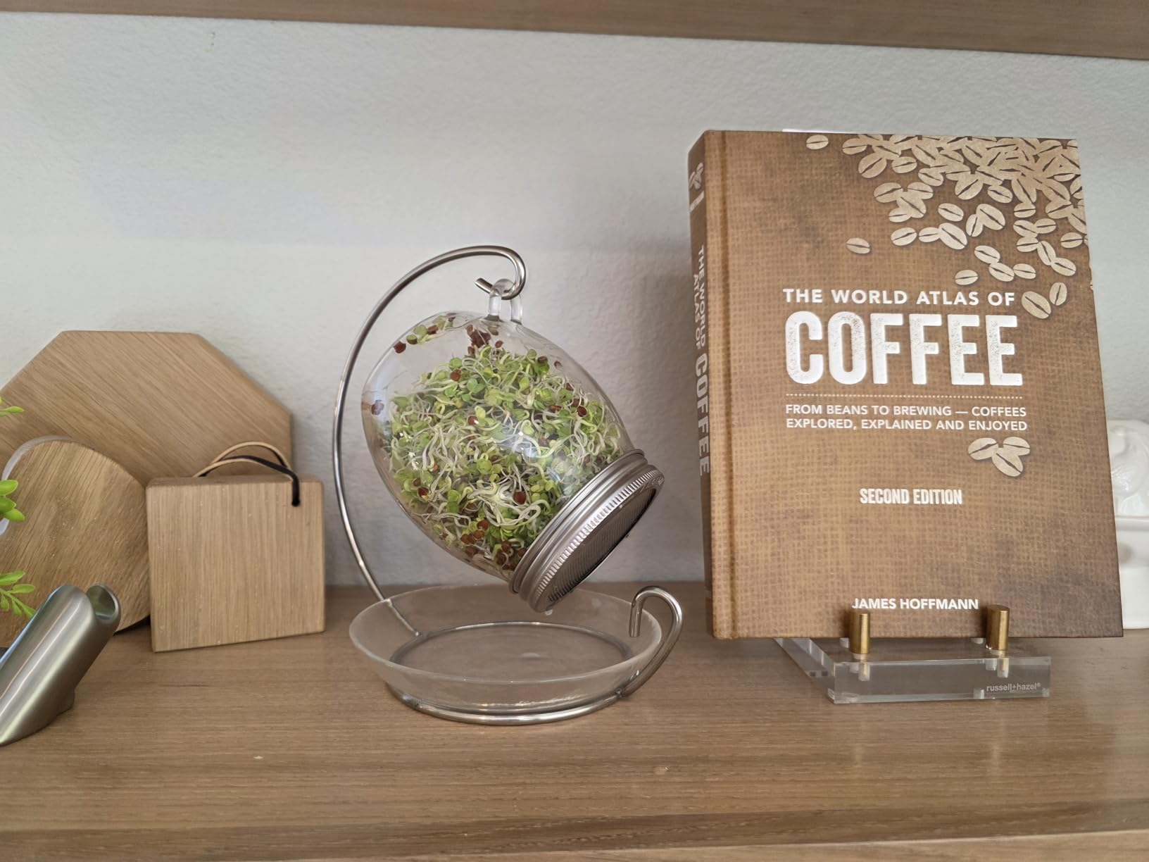 Premium Sprouting Jar Kit - Unique 30 oz Wide Mouth Sprouting Jar, Stand, Tray and 316 Stainless Screen Lid | Decorative Indoor Seed Sprouter and Germinator customer photo 1