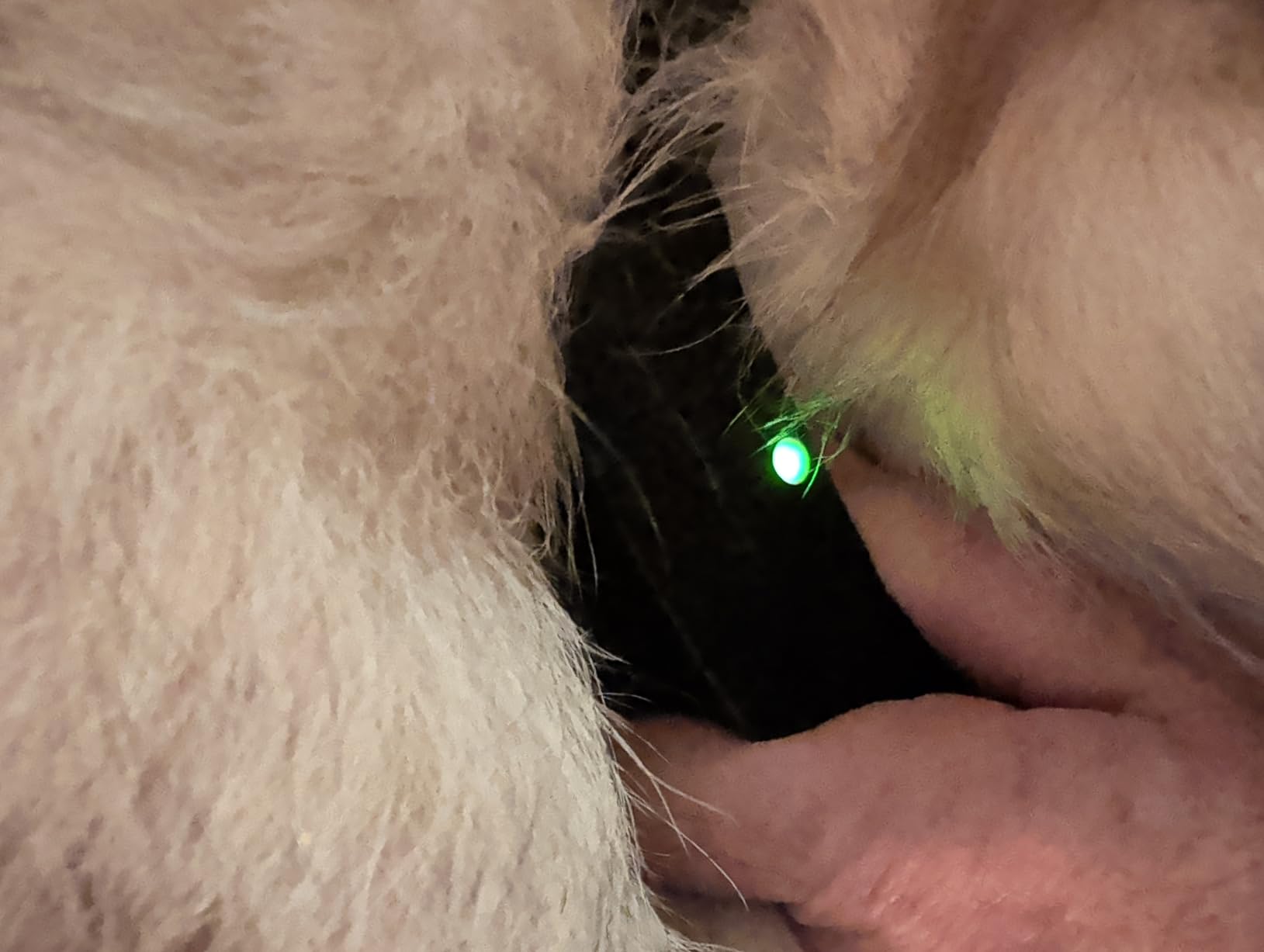 SportDOG Brand Rechargeable In-Ground Fence System - Waterproof, Rechargeable Collar with Tone, Vibrate, and Static - Expandable to Contain Unlimited Dogs customer photo 1