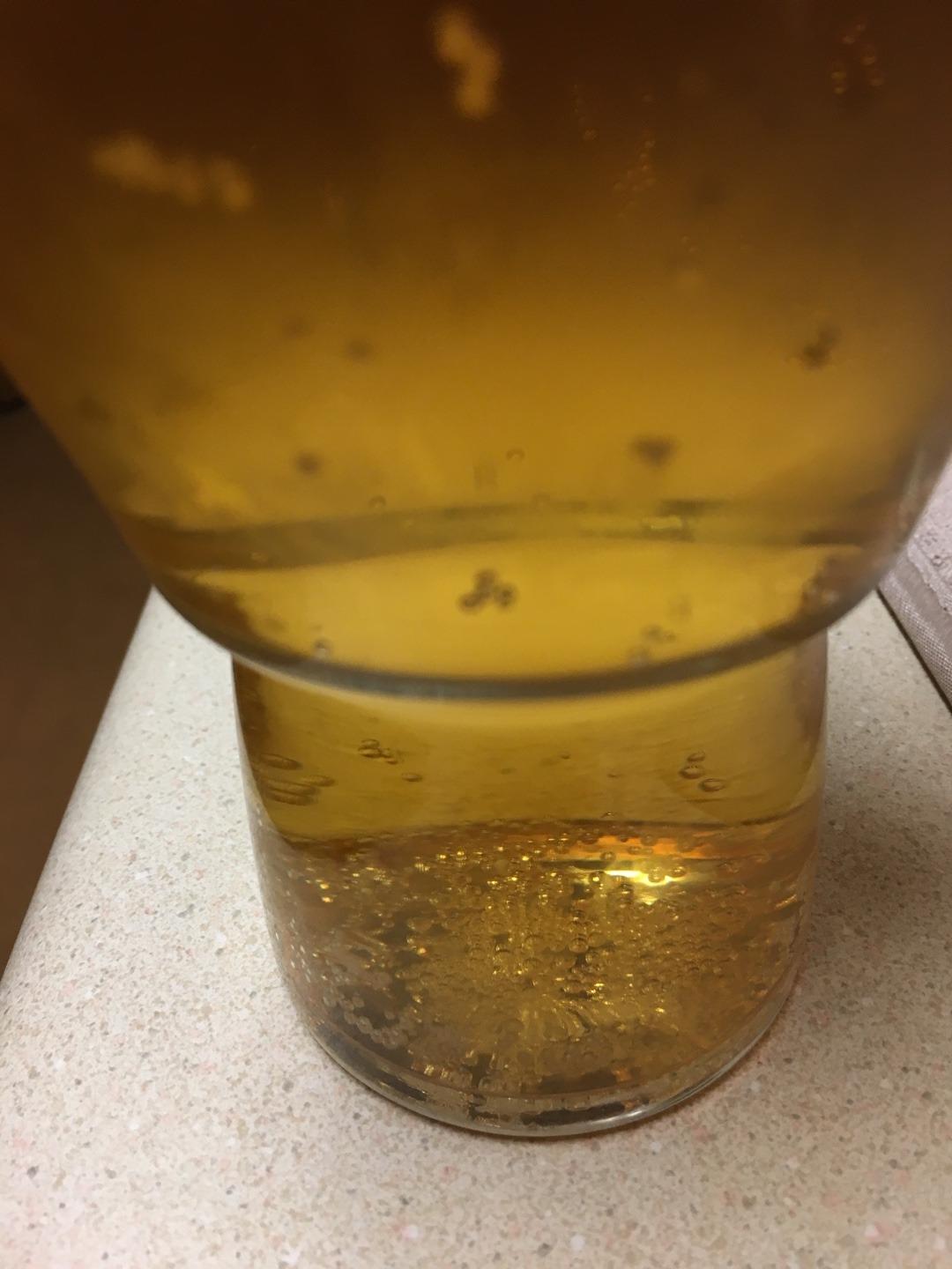Brewing America Muffin Top Nucleated Beer Glasses - Pint Glass - Cider, Soda, Craft Beer Gifts (Clear) (Single) customer photo 2