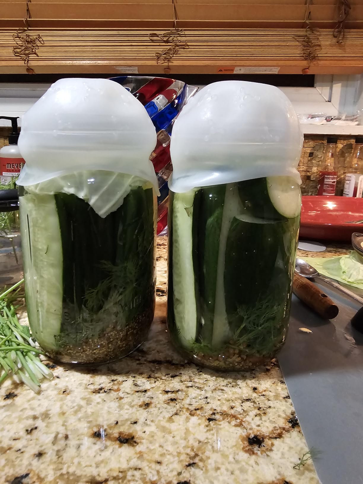 Glass Fermentation Weights for Fermenting | Easy Lift Handles | Set of 4 Pickle Weights for Wide Mouth Jars customer photo 1