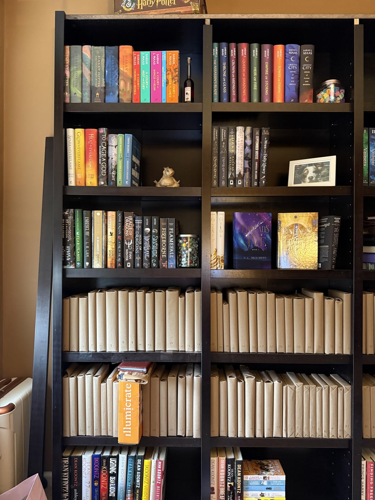 Concepts In Wood Traditional 84inches Tall 18-Shelf Triple Wide Wood Bookcase, Dry Oak customer photo 2