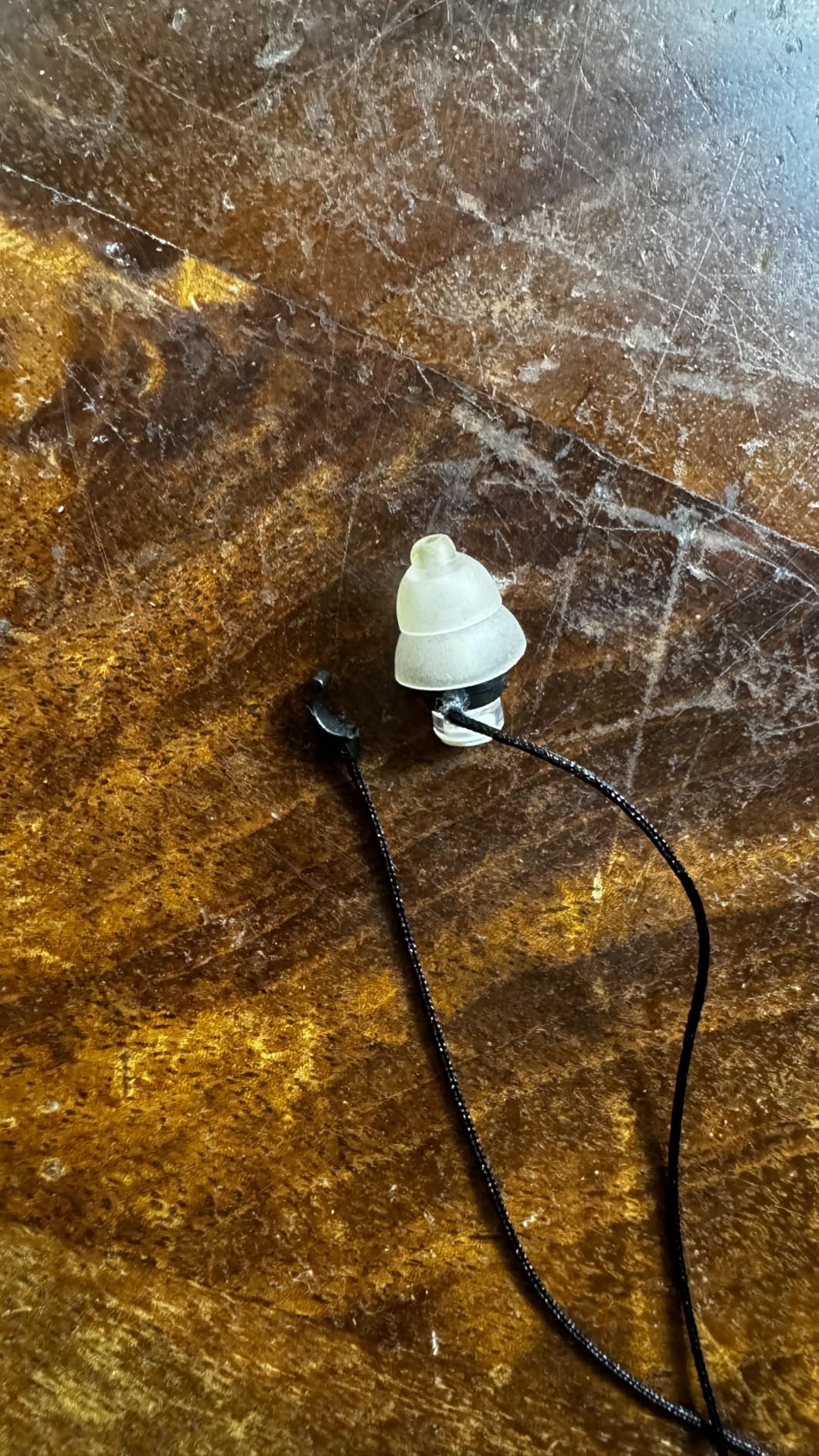 Alpine MusicSafe Pro - High Fidelity Earplugs for Musicians - 3 Interchangeable Premium Filter Sets: 16, 19 & 22 dB - Professional Musician Hearing Protection - Transparent customer photo 2