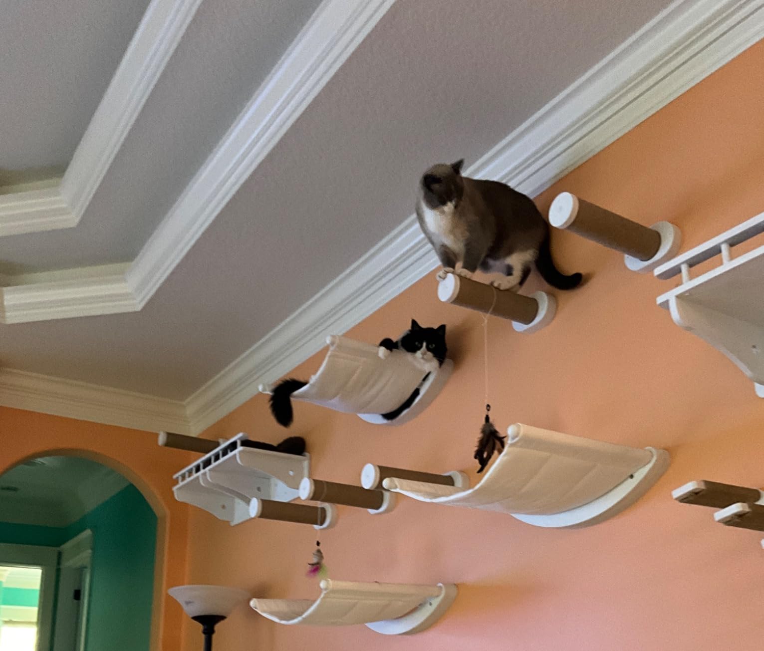 7 Ruby Road Cat Wall Shelves Hammock Set - Wall Mounted Cat Furniture with Steps for Large Cats, Indoor Climbing & Lounging customer photo 1