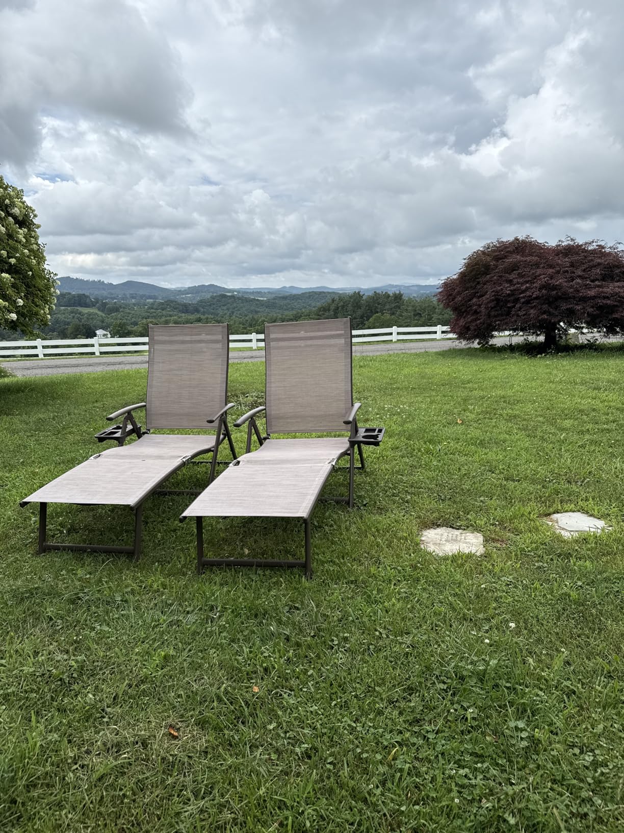 Kozyard Aluminum Outdoor Chaise Lounge Chair, Adjustable Reclining Patio Lounge with Drink Holder, Weather-Resistant Pool, Deck & Yard Recliner, Assemble-Free (1Pack, Beige) customer photo 1