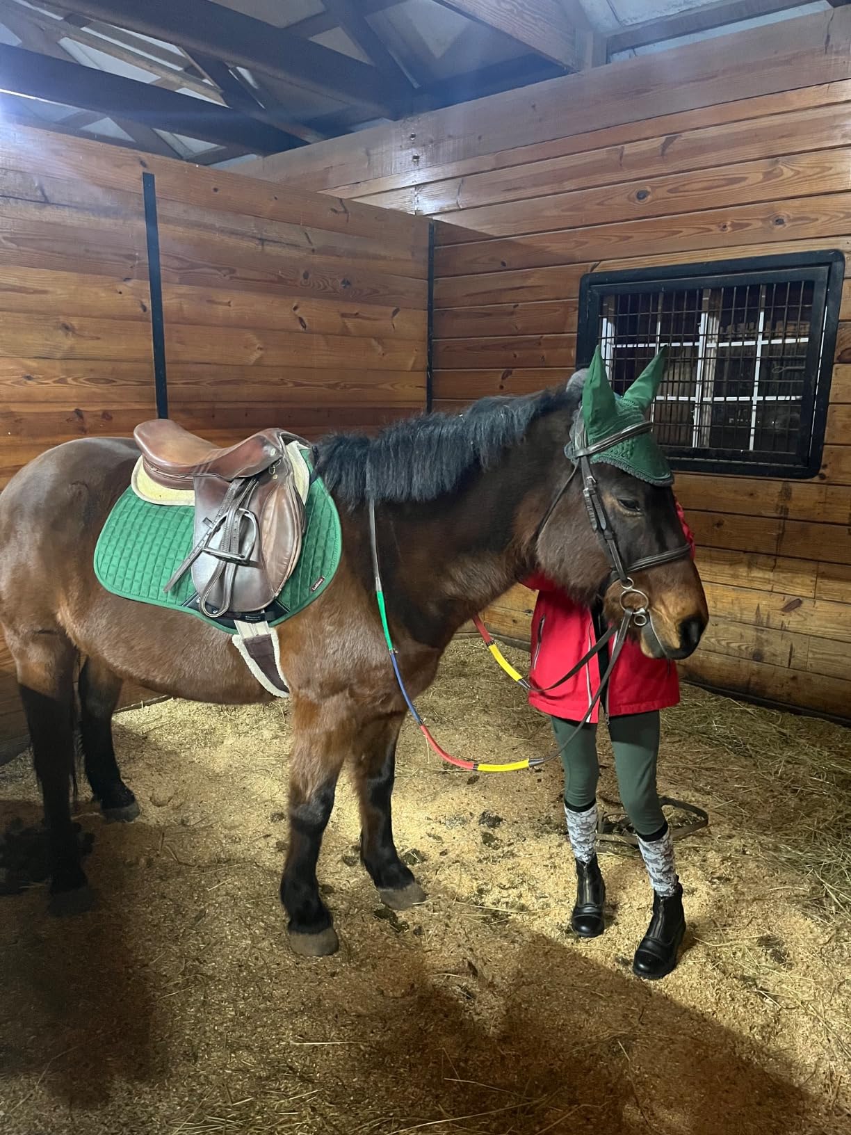 LeMieux Close Contact Saddle Pad - Saddle Pads for Horses - Equestrian Riding Equipment and Accessories customer photo 1