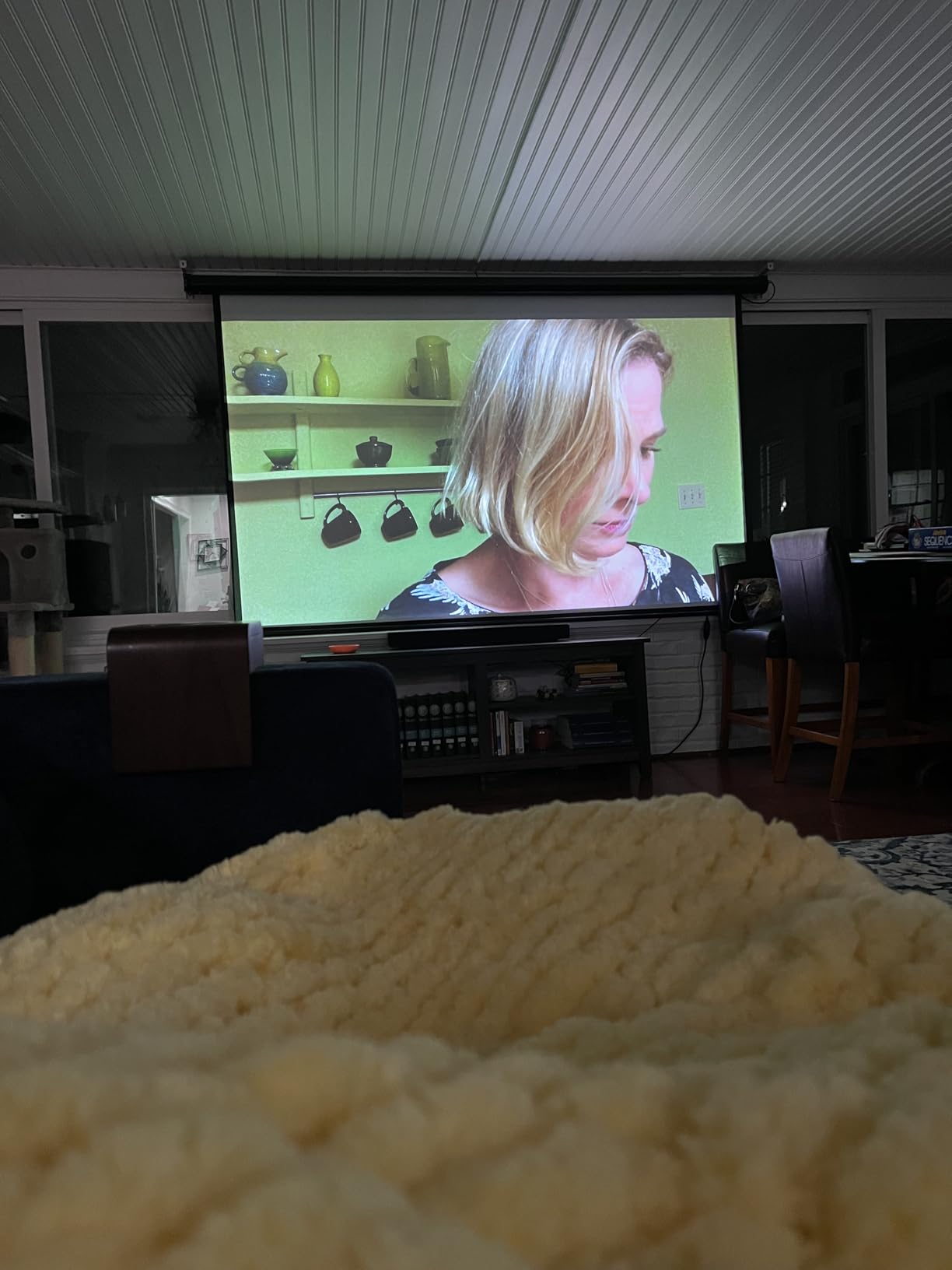 Motorized Projector Screen - Indoor and Outdoor Movies Screen Electric Projector Screen W/Remote Control (120 inch) customer photo 1