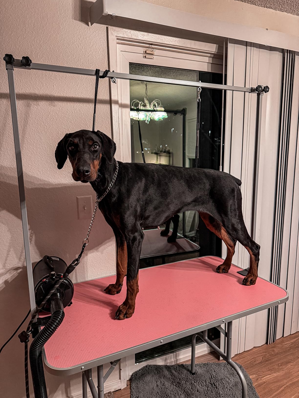 Yaheetech 46'' Pet Grooming Table for Large Dogs Adjustable Height Portable Trimming Table Drying Table w/Arm/Noose/Mesh Tray Maximum Capacity Up to 265Lb, Black customer photo 2