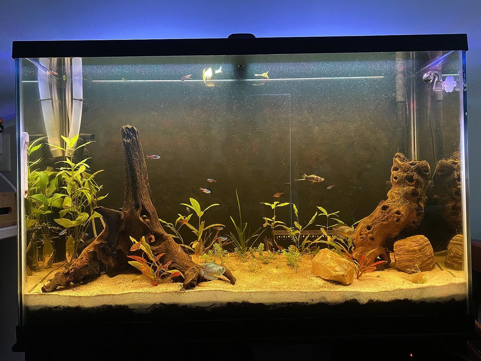 Pro-Elite Series The Most Advanced Aquarium CO2 Dual Stage customer photo 1