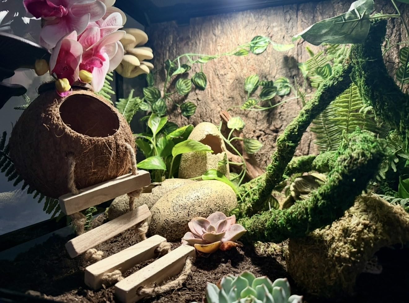 REPTI ZOO Large Reptile Terrarium, Vertical Reptile Tank, Wide & Tall Chameleon Cage with Top Screen Ventilation (36