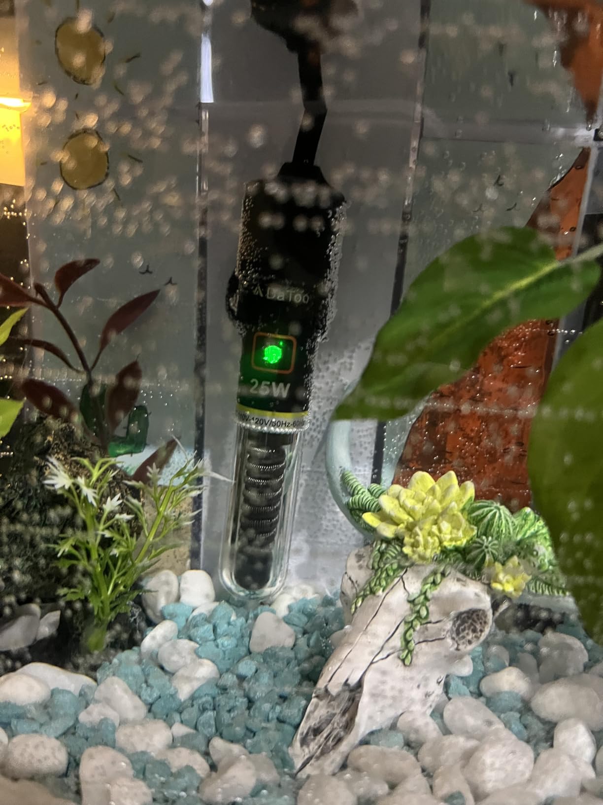 Mini Aquarium Heater 25W Small Fish Tank Heater 25 Watt with Free Thermometer Sticker customer photo 2