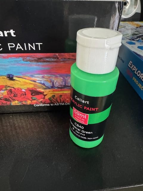 Caliart 24 Colors Acrylic Paint Set with 12 Brushes, Art Craft Paints Gifts Trendy Stuff for Adults Artists, Halloween Pumpkin Canvas Ceramic Rock Eggs Painting Kit Art Supplies customer photo 1