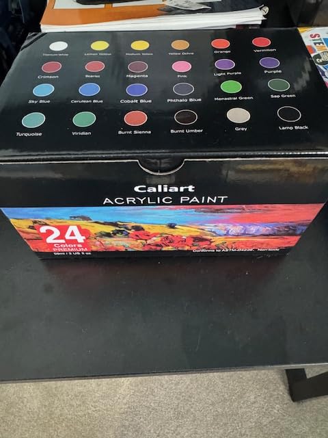 Caliart 24 Colors Acrylic Paint Set with 12 Brushes, Art Craft Paints Gifts Trendy Stuff for Adults Artists, Halloween Pumpkin Canvas Ceramic Rock Eggs Painting Kit Art Supplies customer photo 2