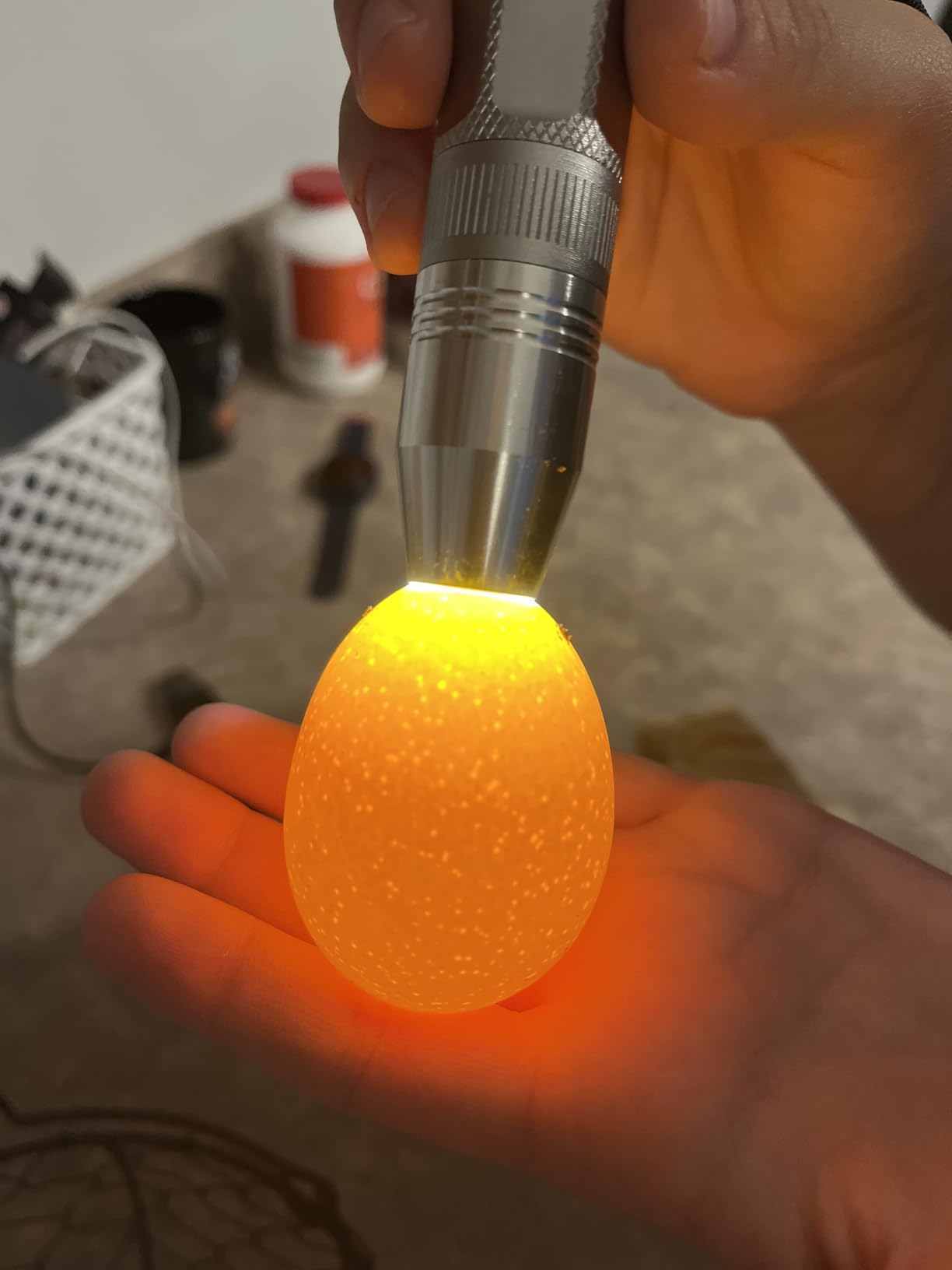 Egg Candler Light Tester Egg Candler Tester Candling Lamp for All Egg Types customer photo 1