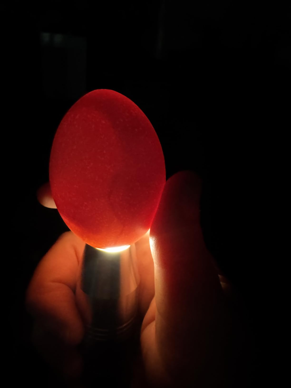 Egg Candler Light Tester Egg Candler Tester Candling Lamp for All Egg Types customer photo 2