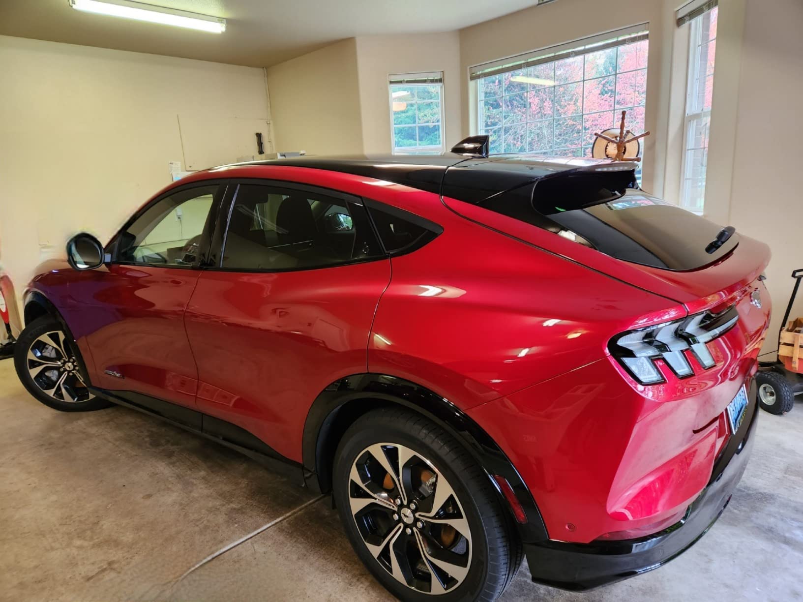 Adam's Polishes UV Graphene Ceramic Coating - 10H Ceramic Coating for Cars W/UV Glow Technology | 7+ Years of Protection customer photo 2