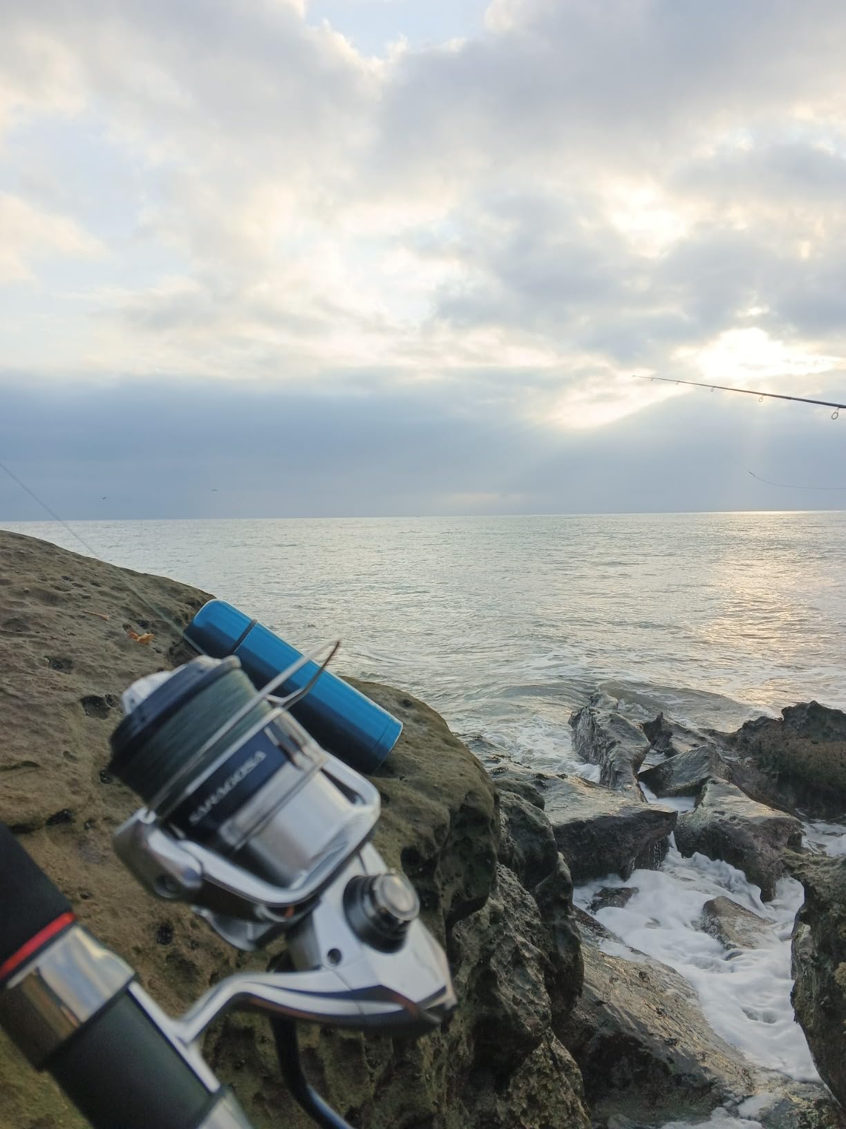 Shimano Saragosa SW A Saltwater Spinning Reel customer photo 3