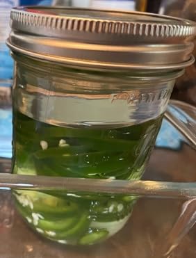 Glass Fermentation Pickling Jar Weights For Wide Mouth Mason Jars by Trademark Innovations (Set of 6) customer photo 1