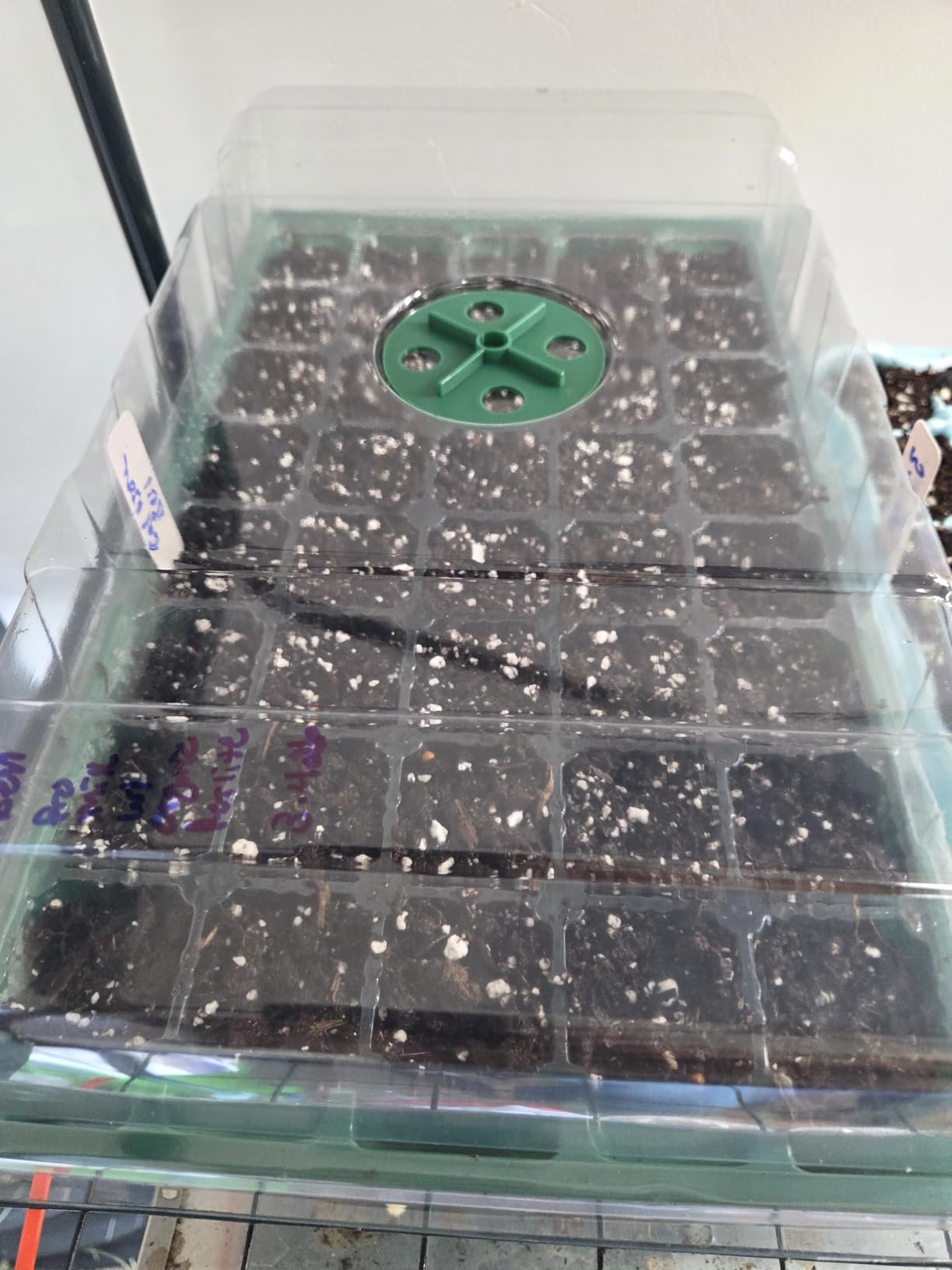 MIXC Seedling Trays Seed Starter Tray, 5-Pack Mini Propagator Plant Greenhouse Grow Kit with Humidity Vented Domes and Base for Seeds' Starting (40 Cells Per Tray, Total 200 Cells), Green customer photo 1