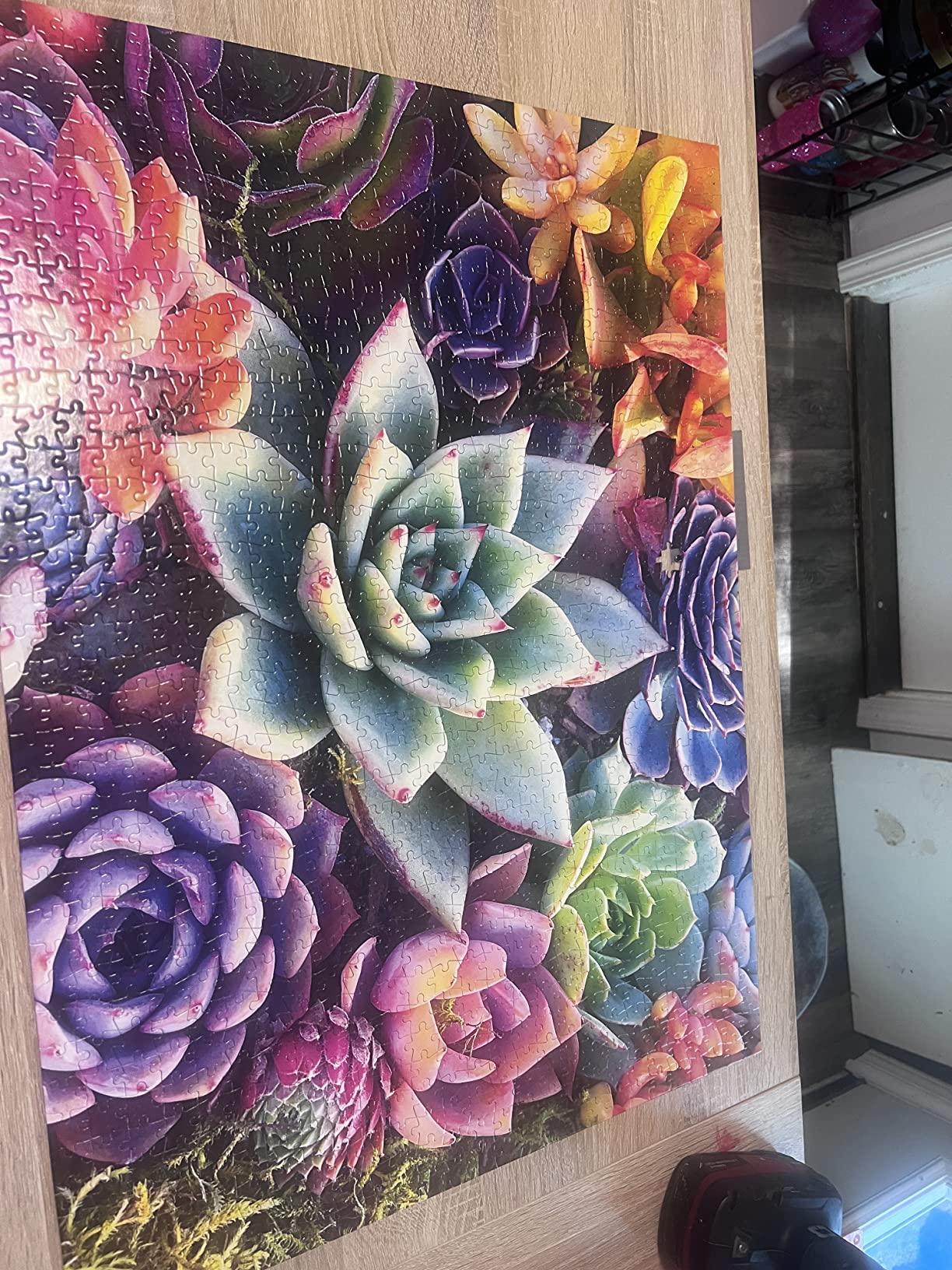 Simple Succulent - James Mertke - 1000 Piece Jigsaw Puzzle for Adults - Challenging Puzzle for Game Nights - Vibrant Plant Artwork - Finished Size 26.75 x 19.75 - Made in the USA customer photo 1