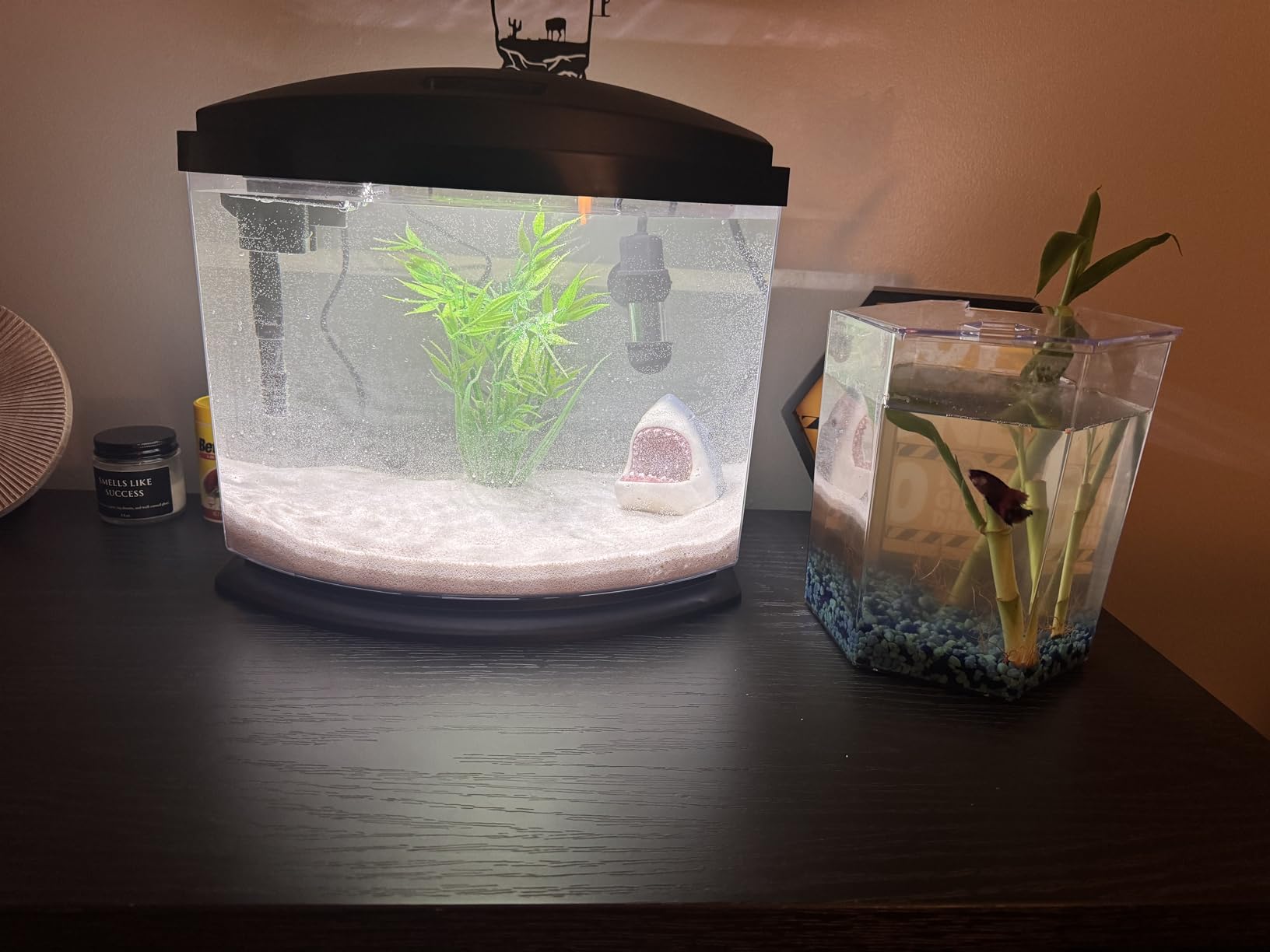 Aqueon LED MiniBow Small Aquarium Fish Tank Kit with SmartClean Technology, 2.5 Gallon customer photo 1