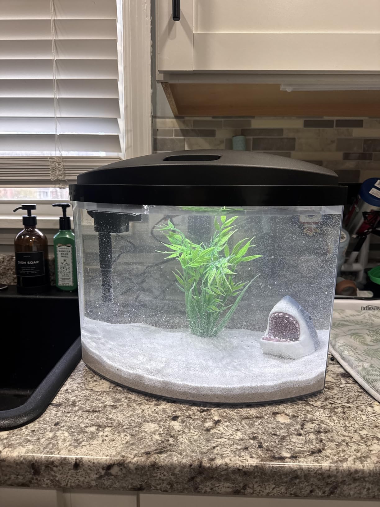 Aqueon LED MiniBow Small Aquarium Fish Tank Kit with SmartClean Technology, 2.5 Gallon customer photo 2