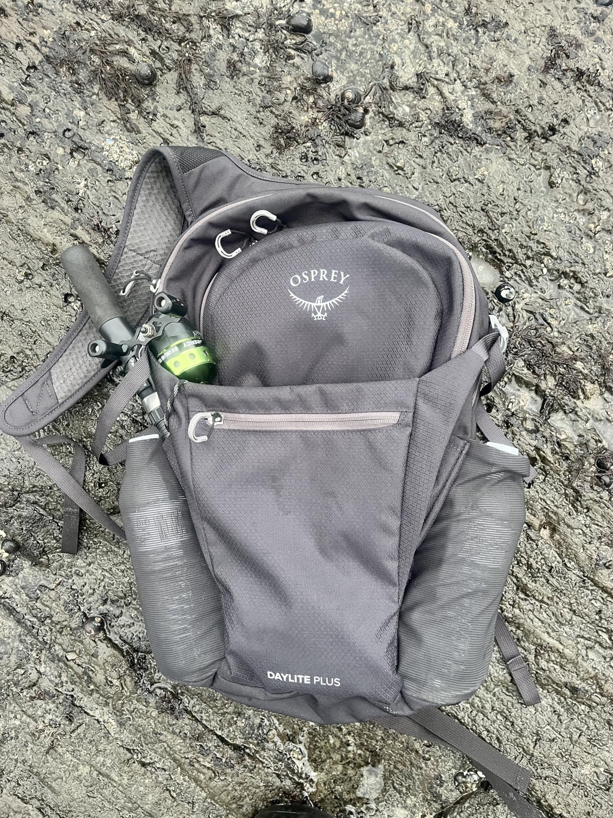 Osprey Daylite Plus Commuter Backpack - Lightweight, Everyday Pack with Laptop Sleeve and Water Bottle Pockets - Ideal for Work, School, and Travel with Versatile Storage Options, Black customer photo 2