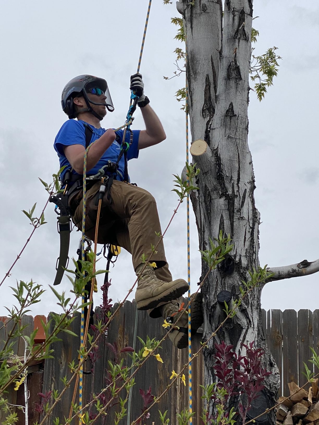 Teufelberger drenaLINE Climbing Rope - 32-Strand Polyester Arborist Rope (11.8mm x 150ft, BlueOrangeYellow) customer photo 1