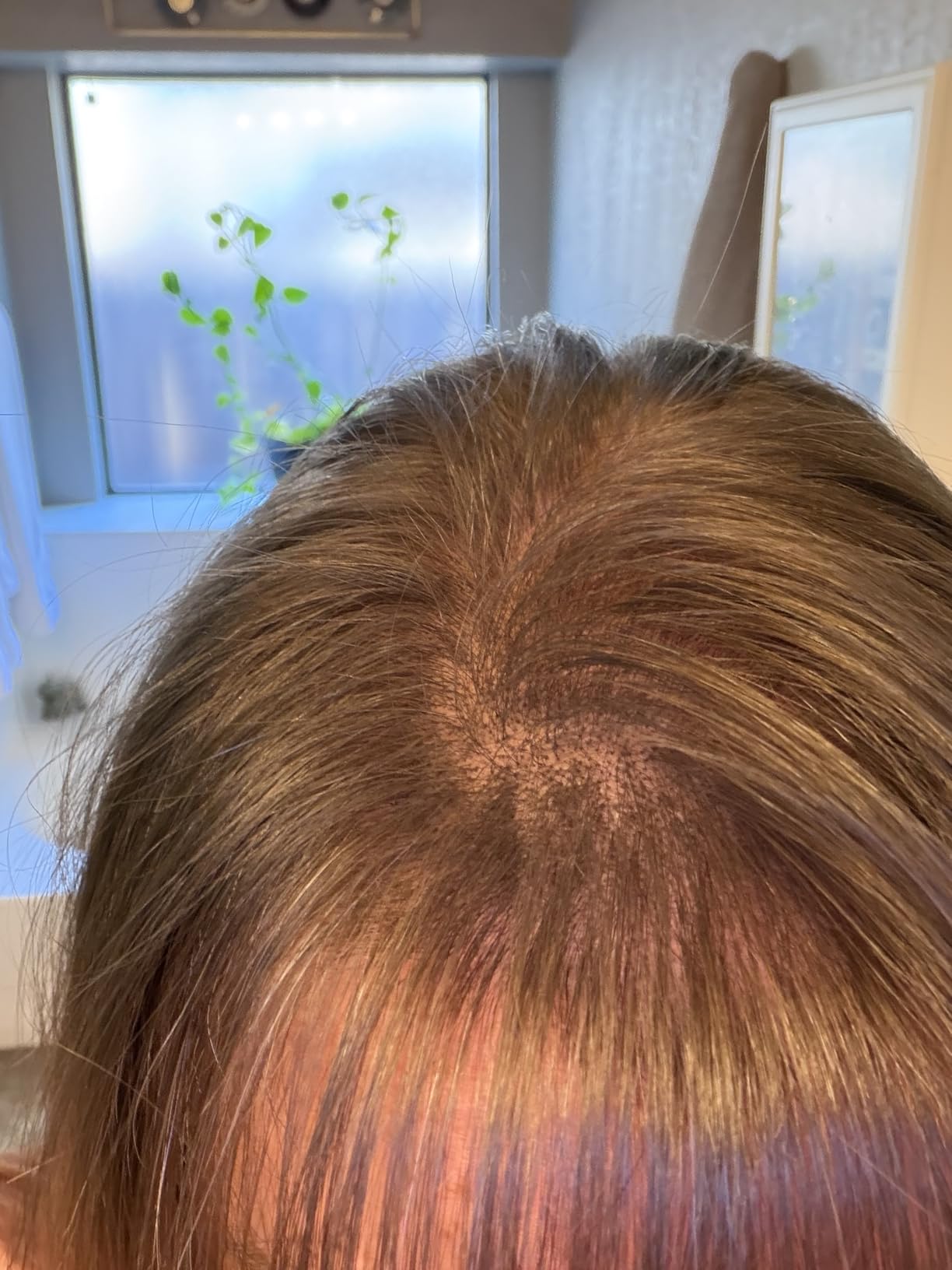 BOLDIFY Hairline Powder - Root Touch Up Hair Color for Gray Coverage - Bald Spot Concealing Hair Powder for Women & Men customer photo 1
