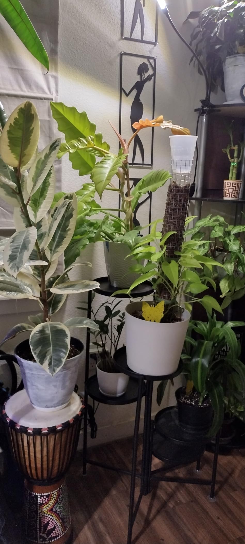 bseah Grow Light Plant Lights for Indoor Plants, Full Spectrum Plant Grow Lamp, 10 Dimmable Levels, Auto ON & Off with 3/9/12H Timer customer photo 1