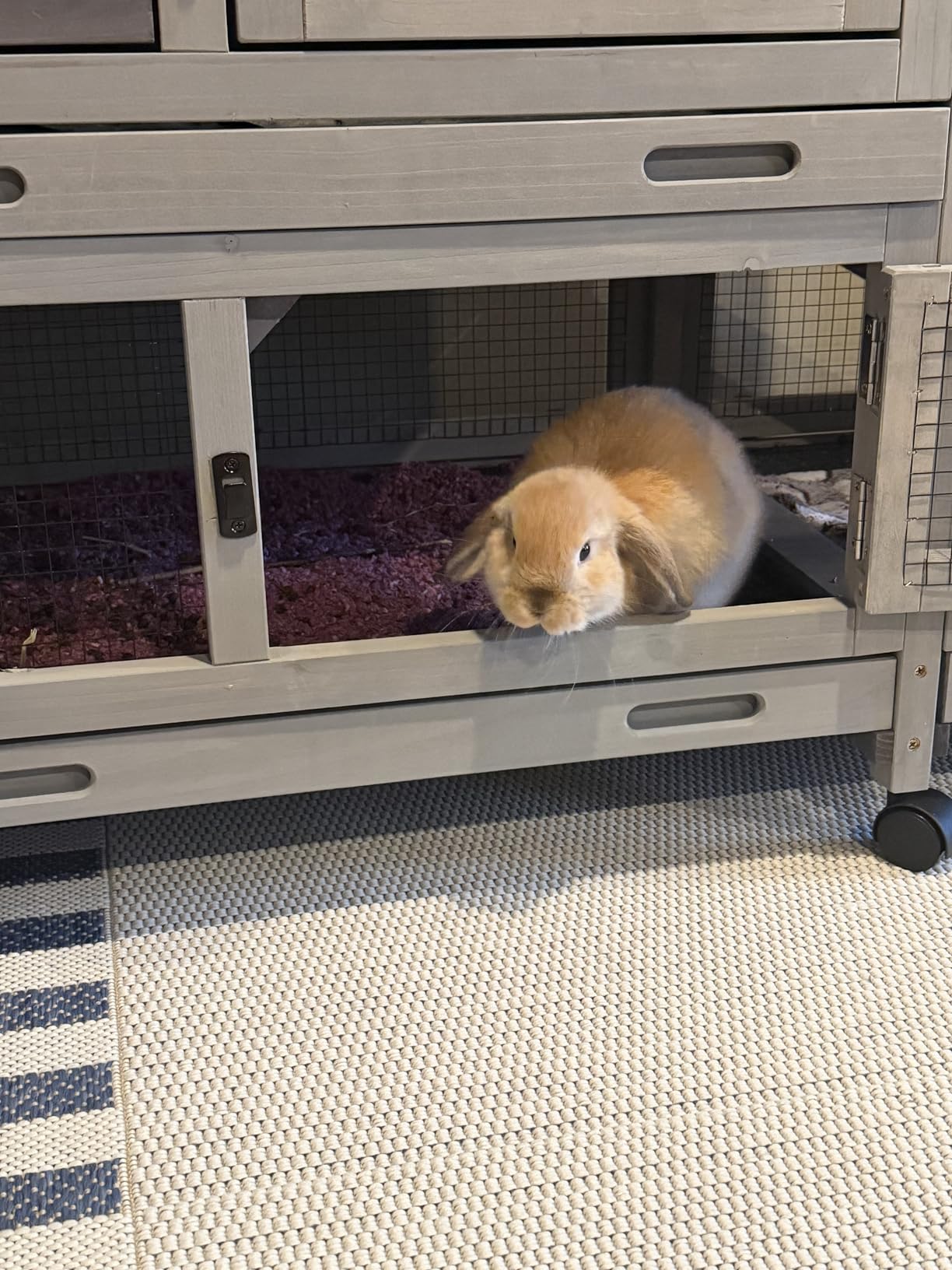 Bunny Cage Indoor and Outdoor Rabbit Hutch with Casters Waterproof Roof, Pull Out Tray from Back and Front customer photo 1