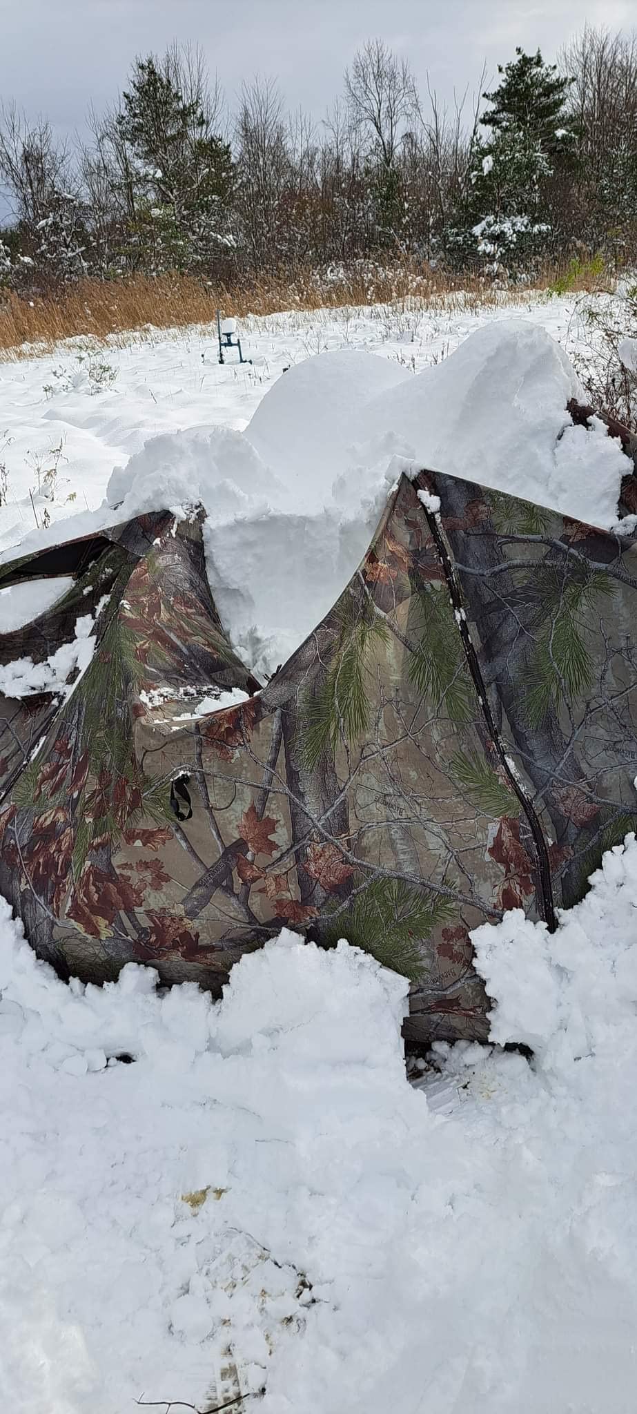 Barronett Blinds Feather Five, Portable Hunting Blind, Huge Interior, Lightweight, 4-Person, Bloodtrail Backwoods, 72