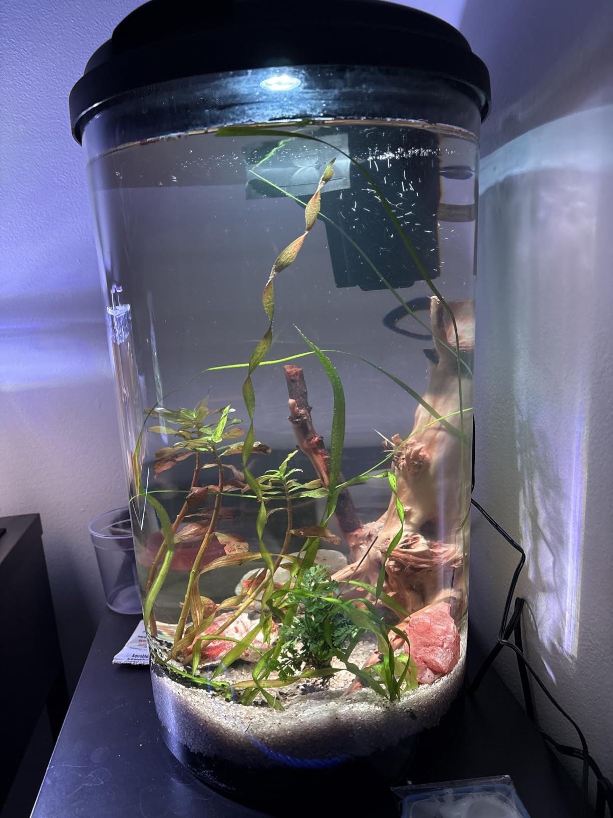 Koller Products Plastic 6-Gallon AquaView 360 Aquarium Kit for Tropical Fish, Betta Fish with LED Lighting and Power Filter customer photo 1
