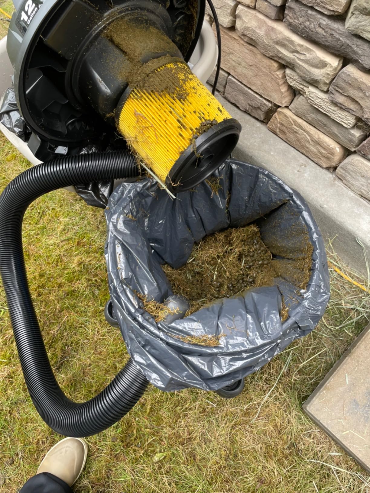 Vacmaster Wet/Dry Vacuum with Detachable Blower 6 Gallon 5 Peak HP-VBVB611PF 1101 customer photo 1