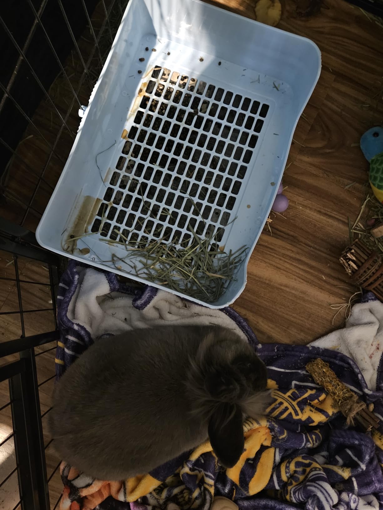 RUBYHOME Oversize Rabbit Litter Box with Drawer, Corner Toilet Box with Grate Potty Trainer, Bigger Pet Pan for Adult Guinea Pigs, Chinchilla, Ferret, Galesaur, Small Animals, 16.9 inch Long (White) customer photo 2