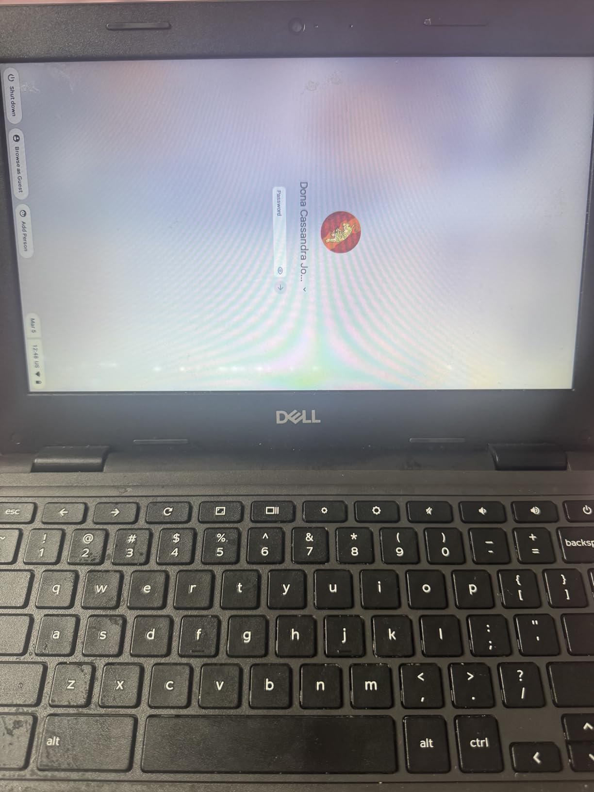 Dell Chromebook 3100 - 11.6